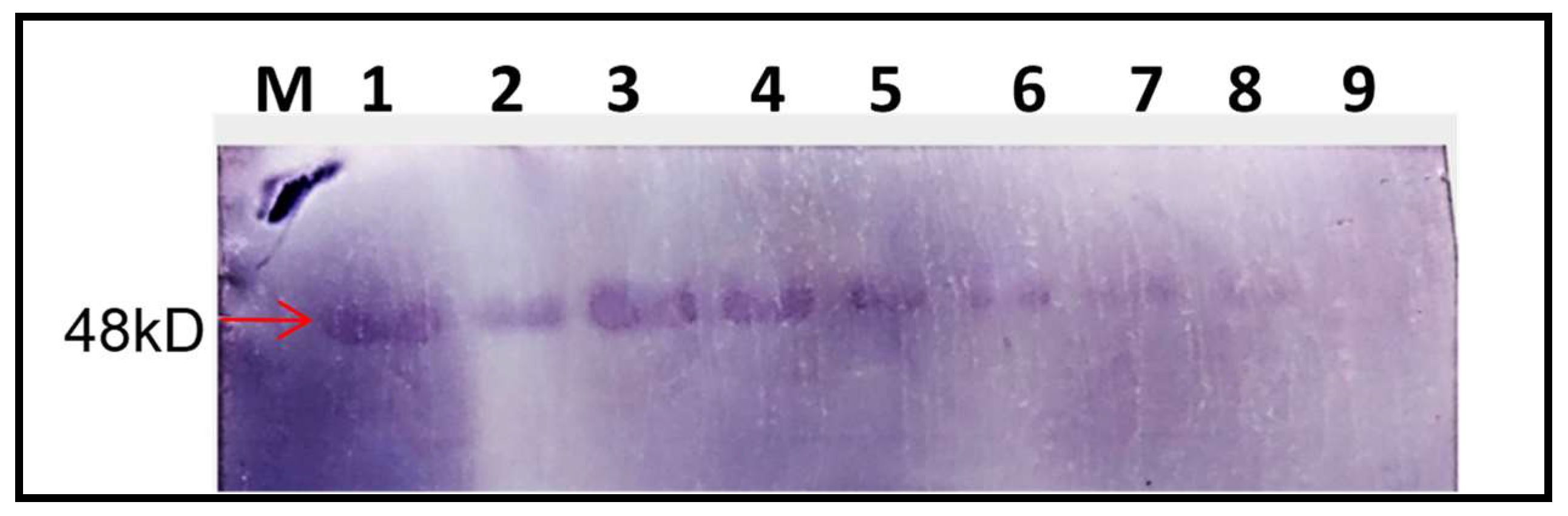 Plants 13 01414 g009 Plants 13 01414 g009