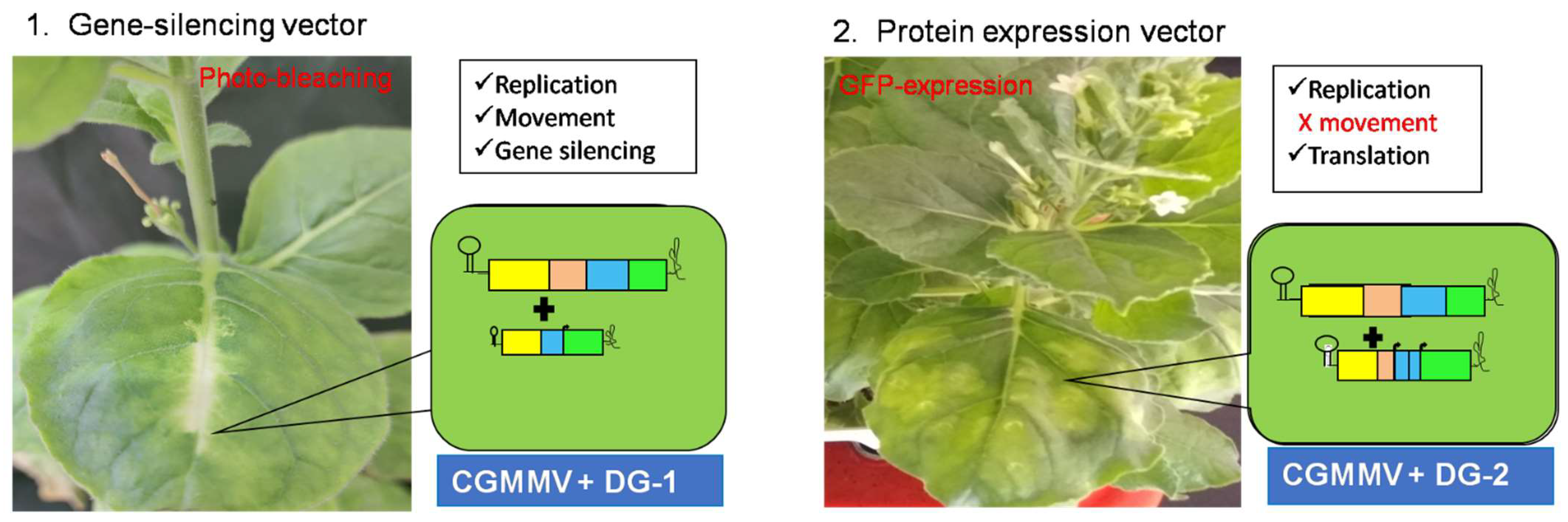 Plants 13 01414 g010 Plants 13 01414 g010