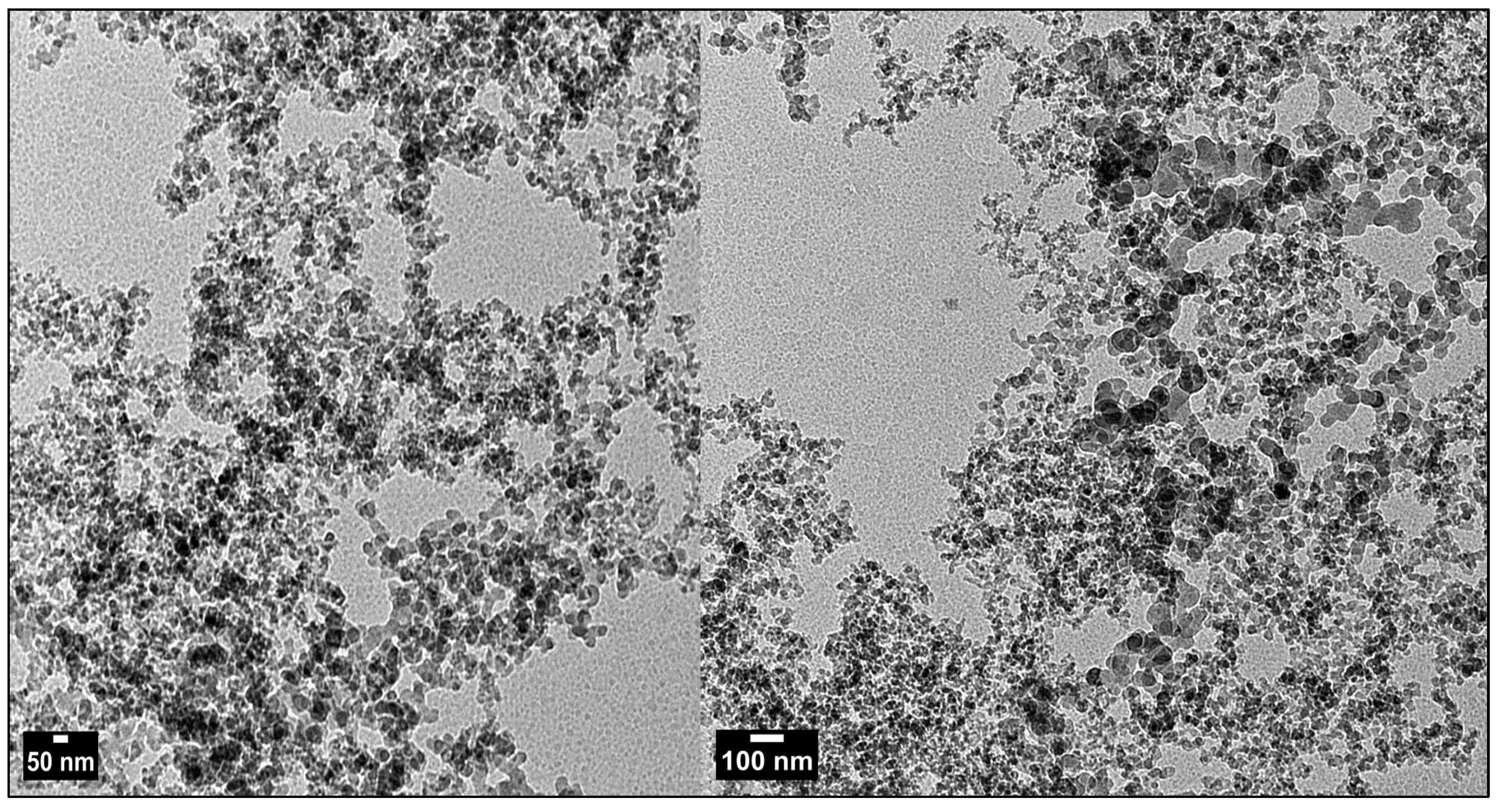 Plants 13 01418 g002