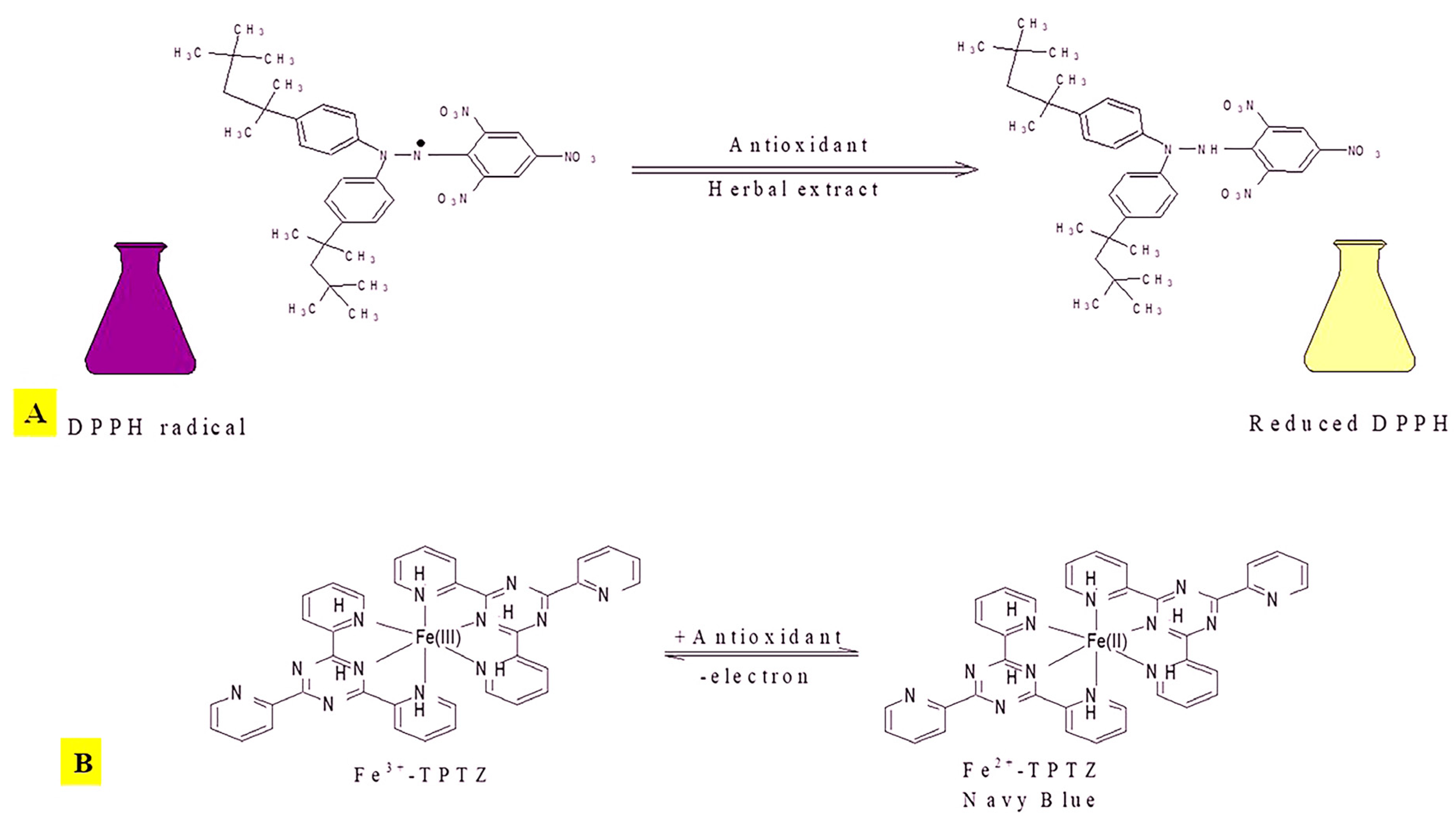 Plants 13 01425 g001