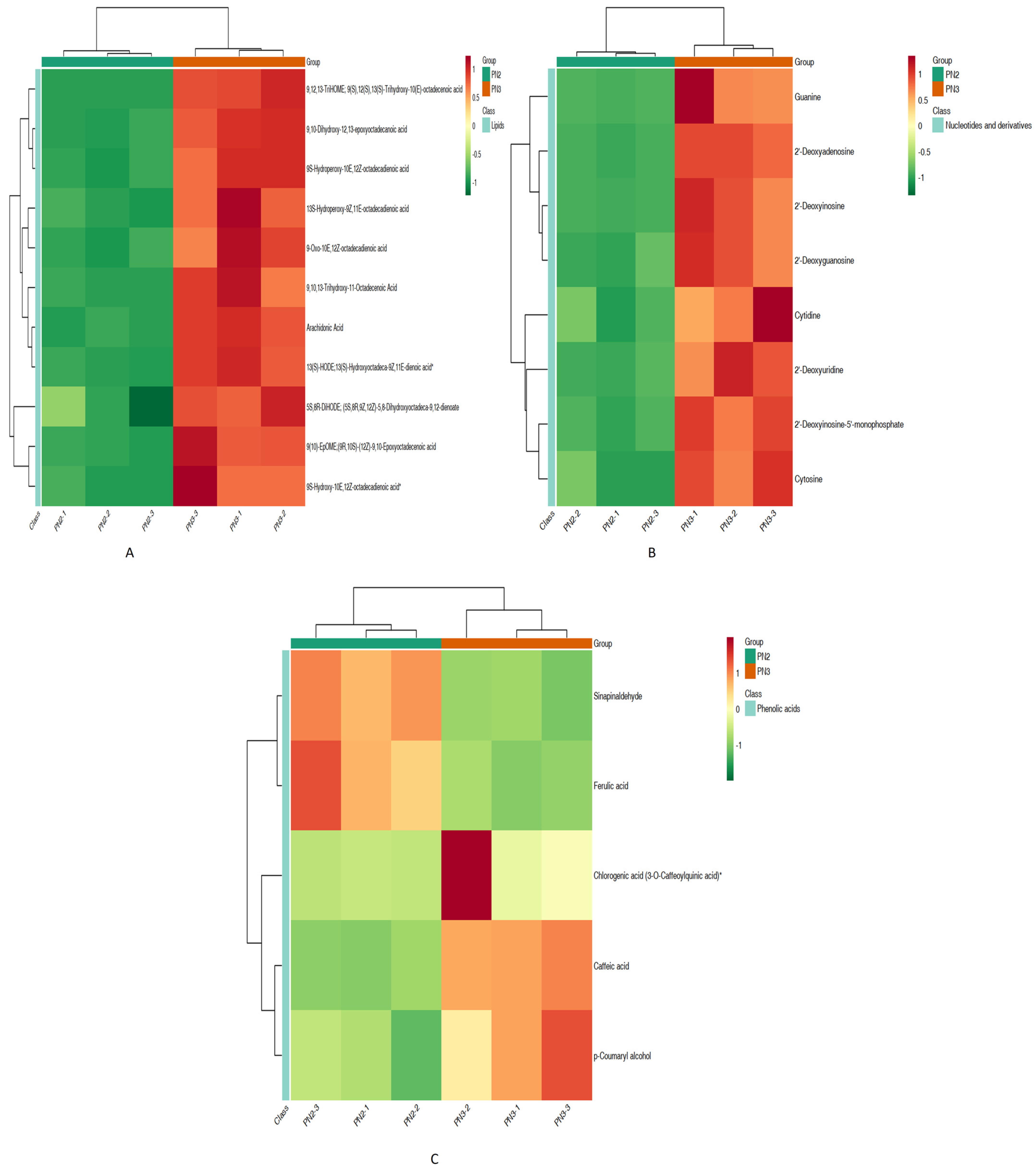 Plants 13 01441 g002