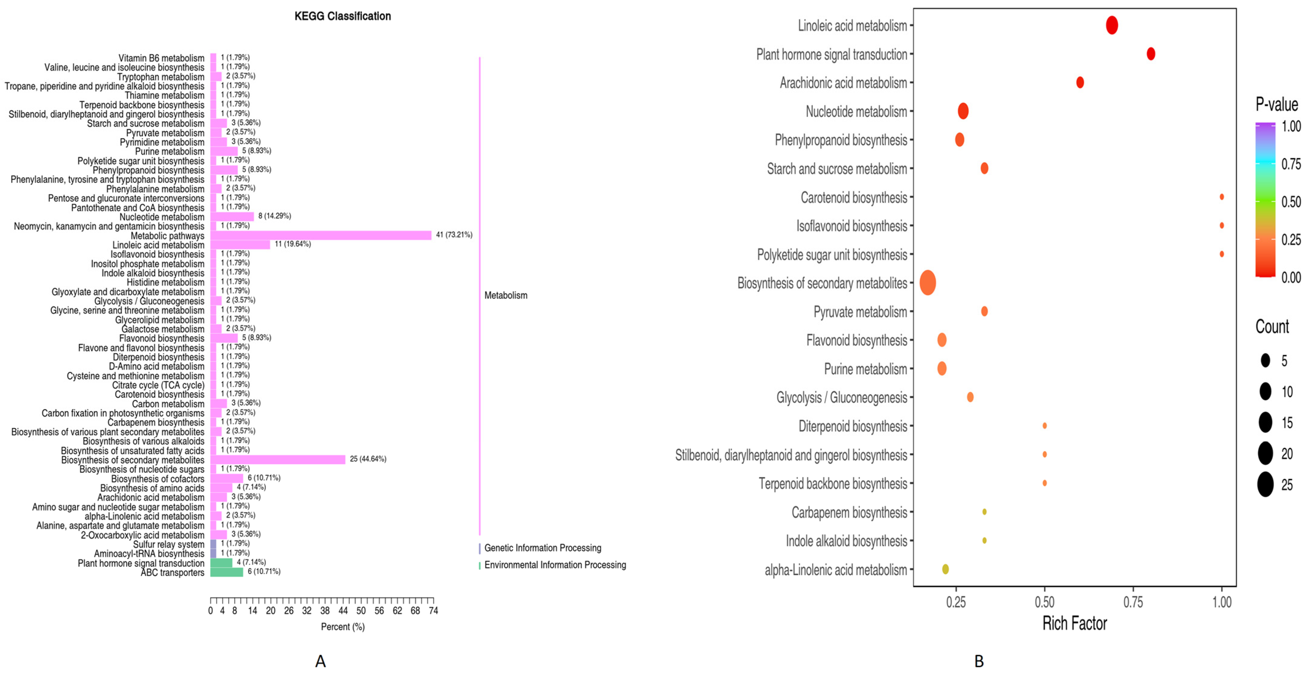 Plants 13 01441 g003