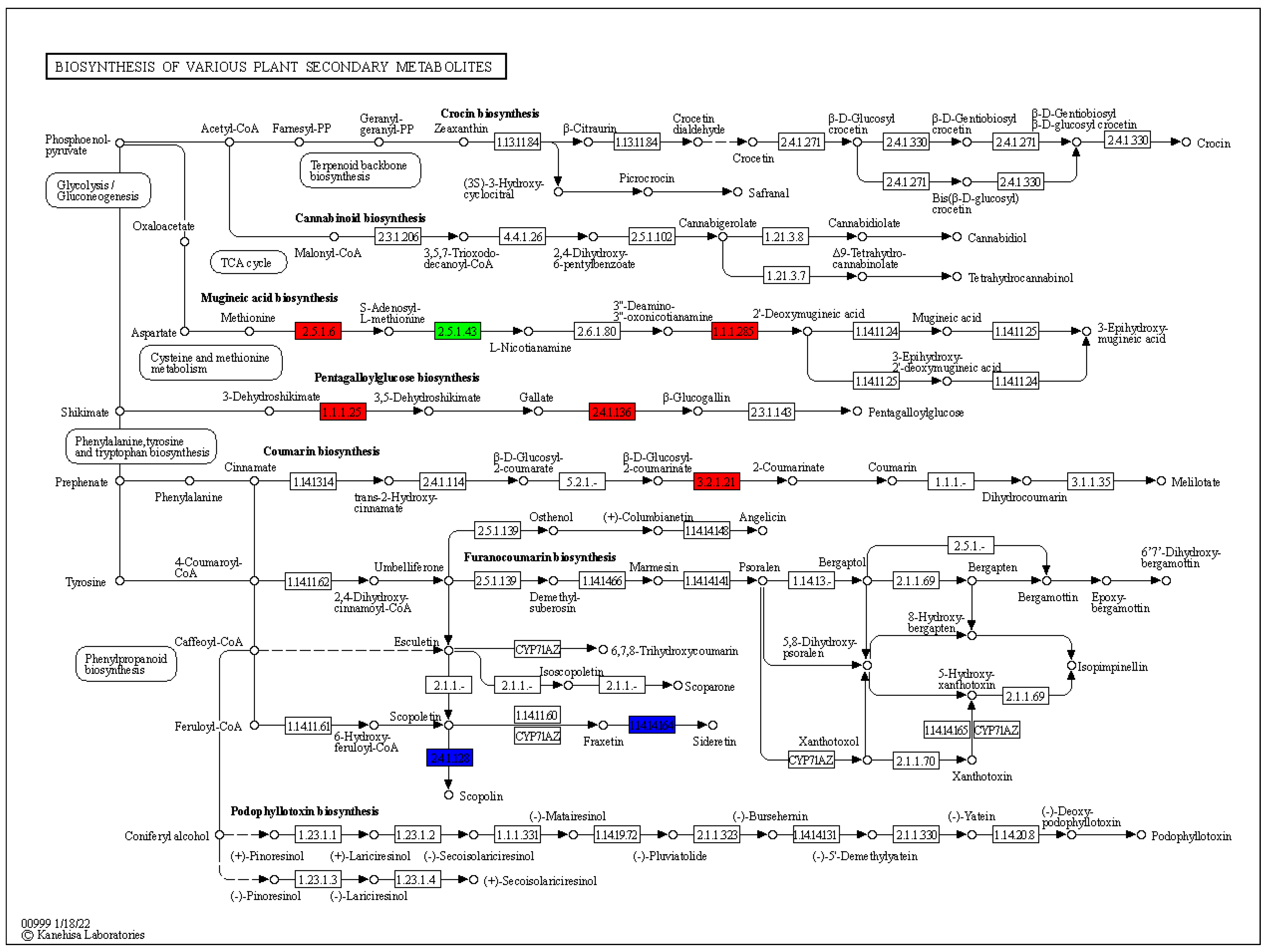Plants 13 01441 g007