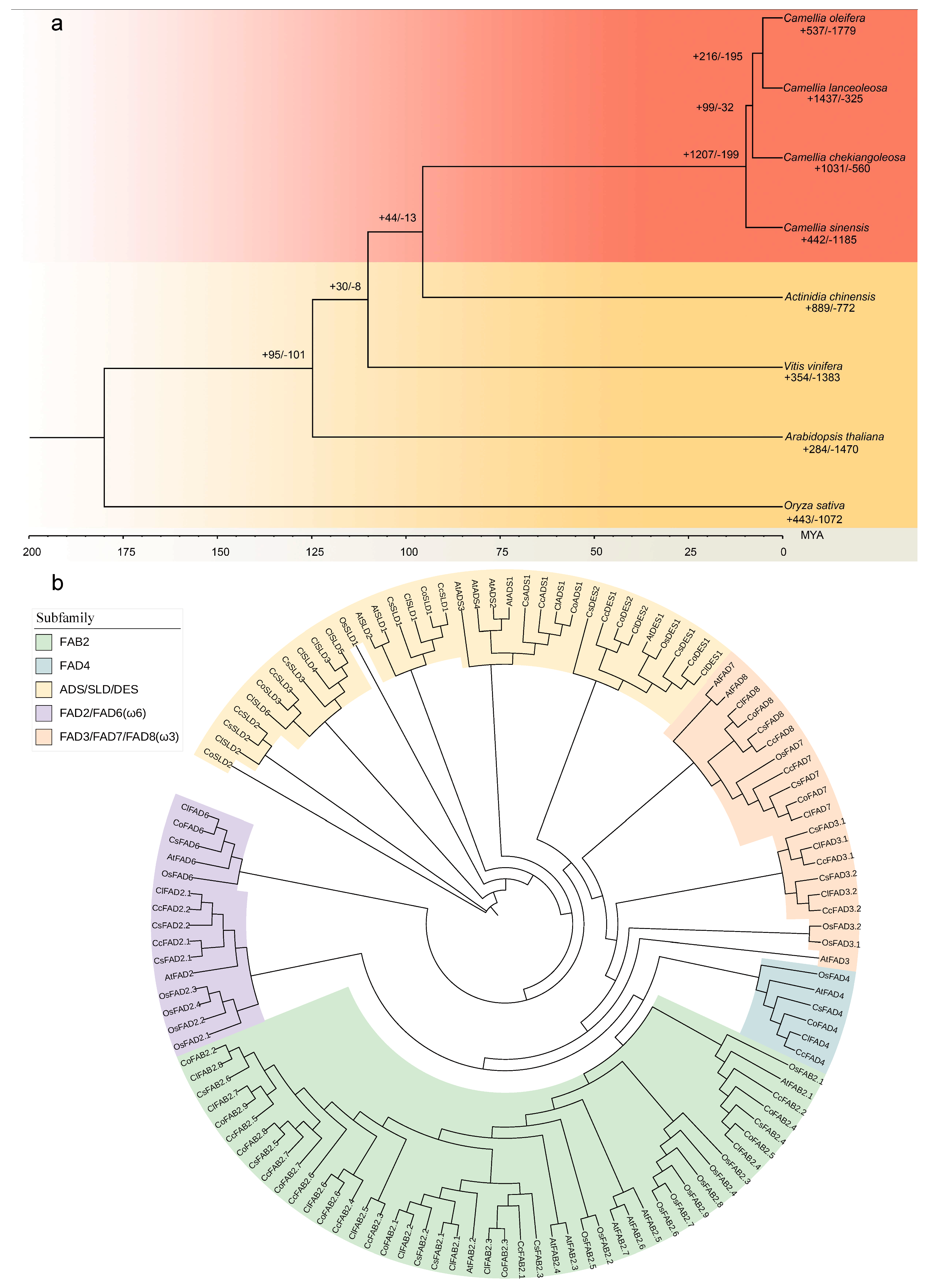 Plants 13 01444 g001