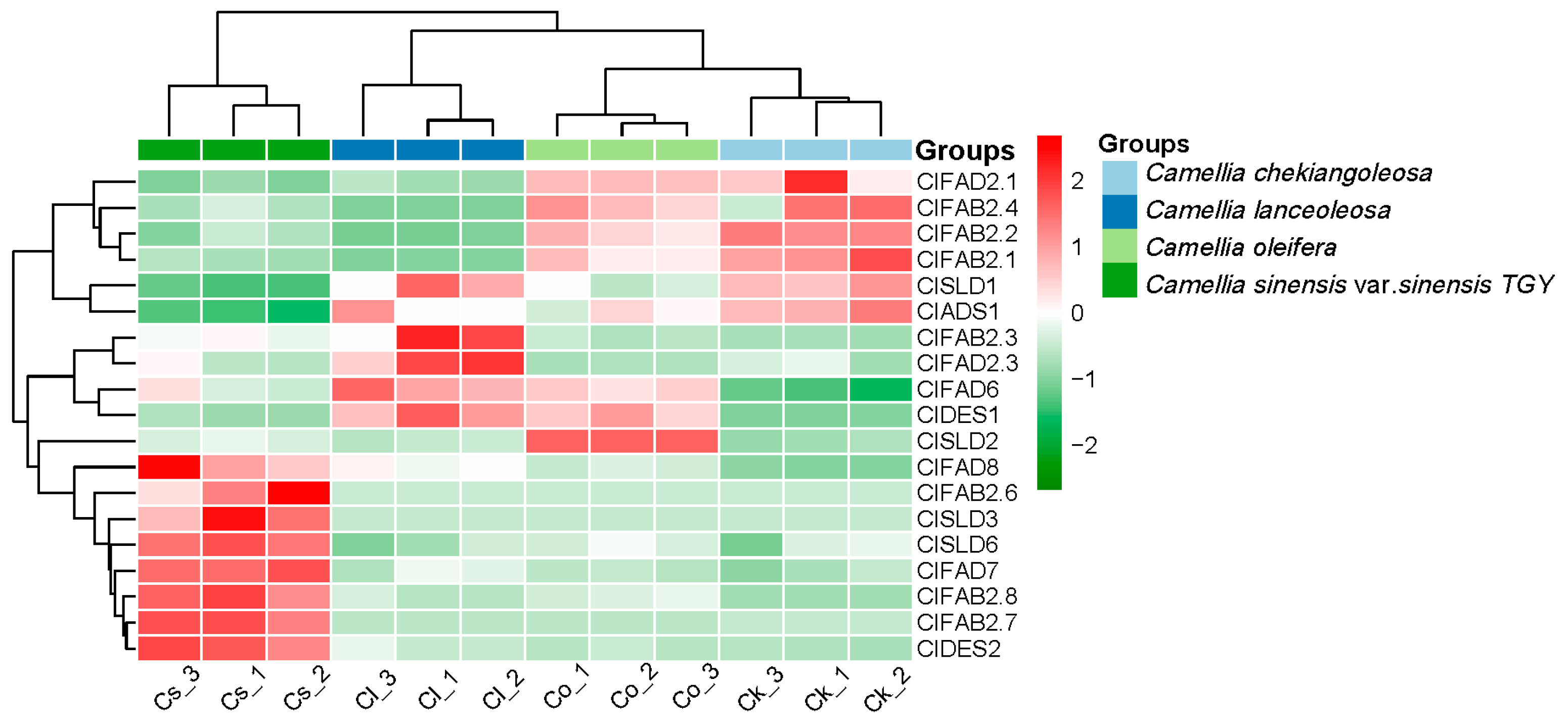 Plants 13 01444 g005