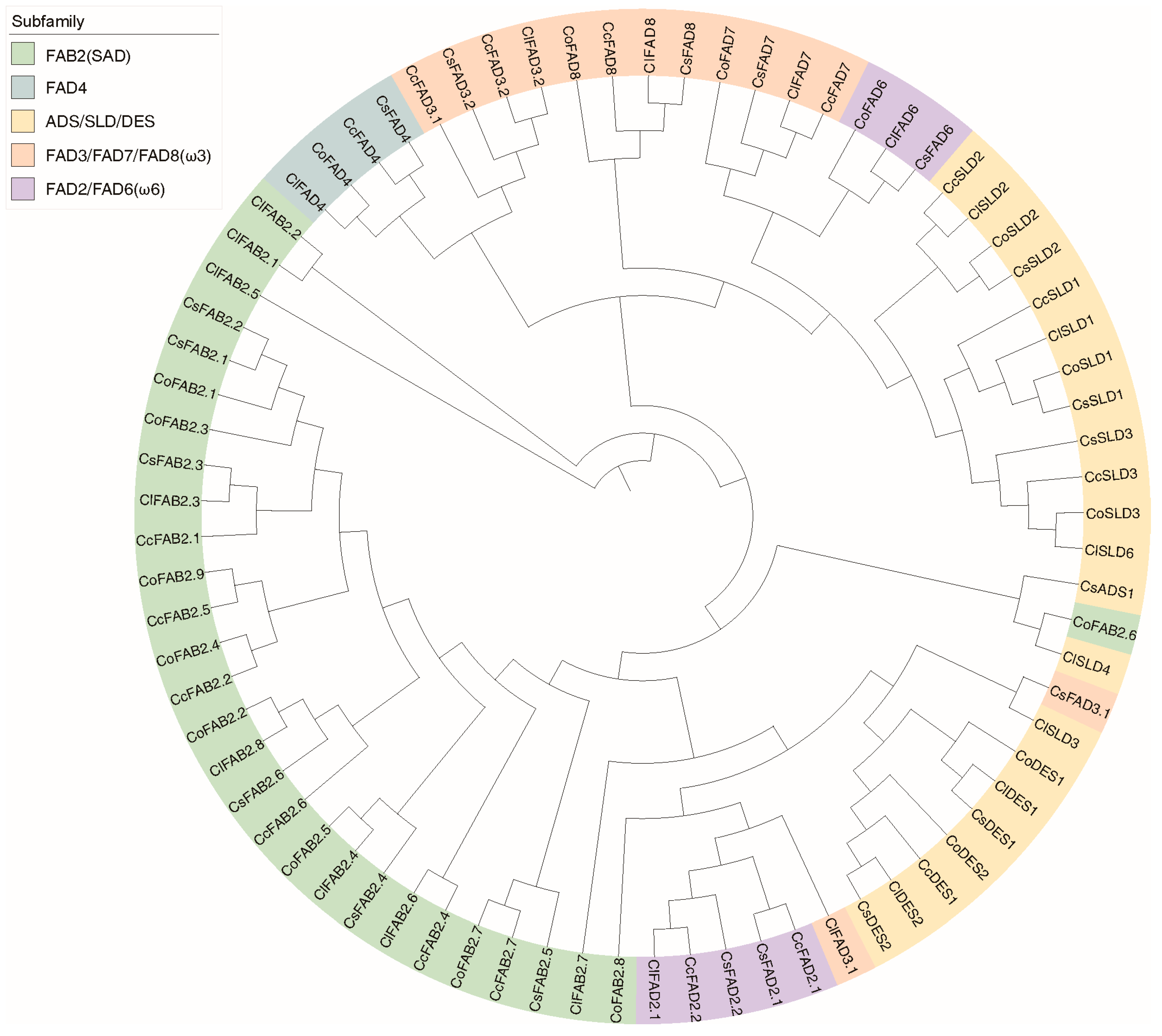 Plants 13 01444 g008