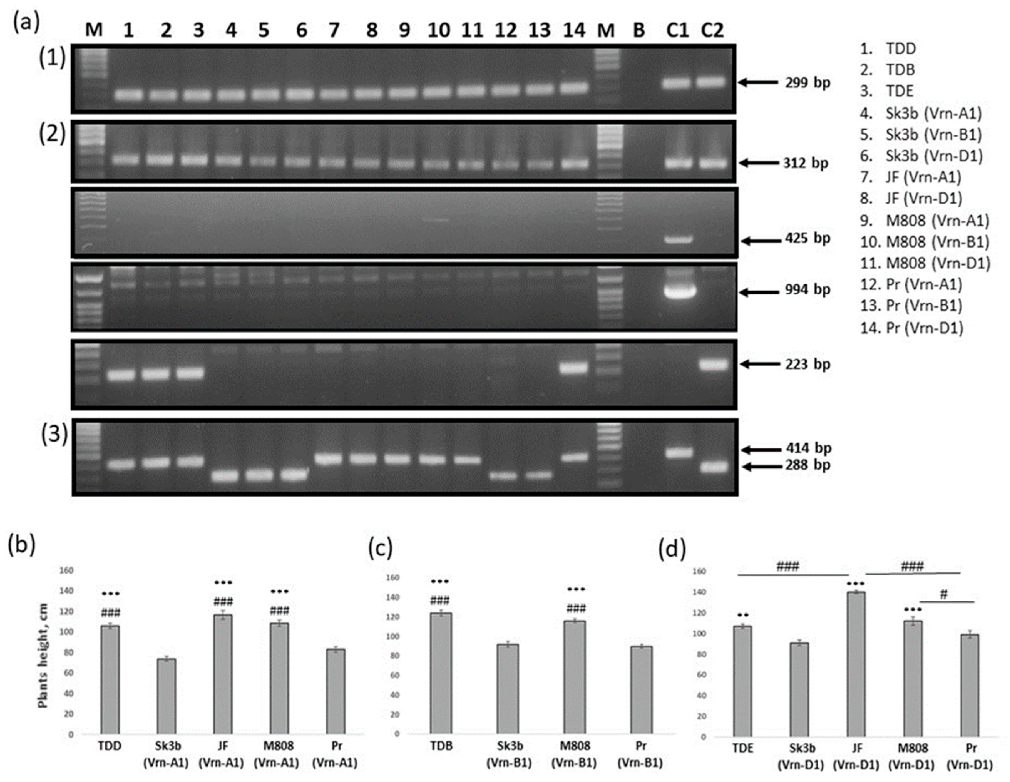 Plants 13 01453 g003