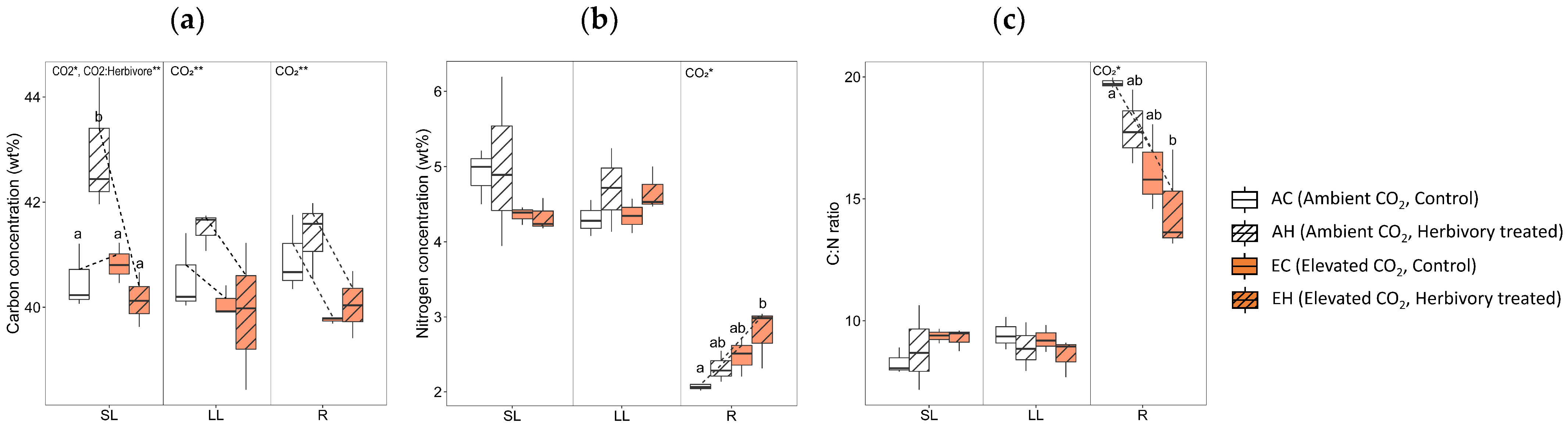 Plants 13 01456 g002