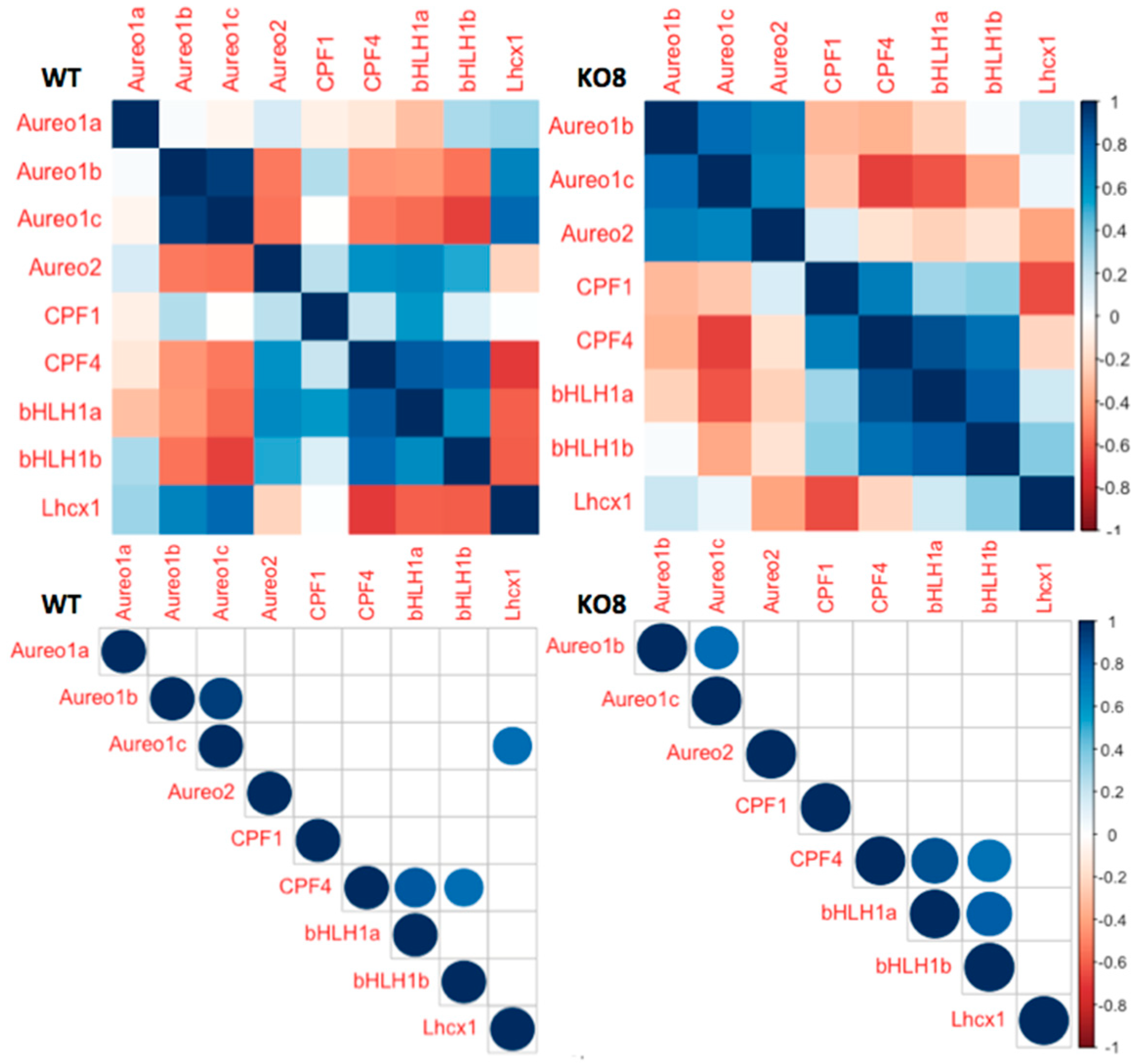 Plants 13 01465 g004
