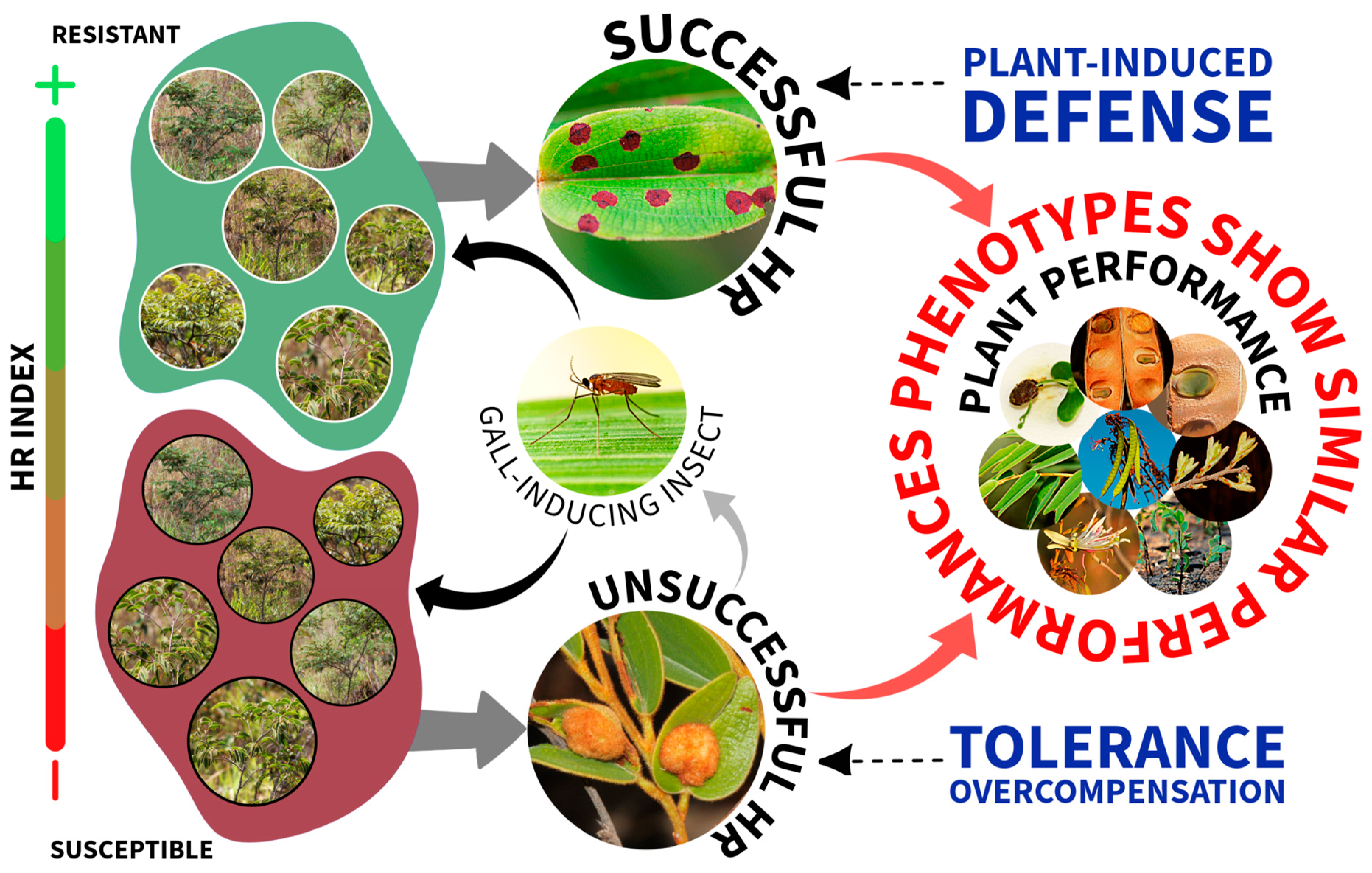 Plants 13 01472 g008