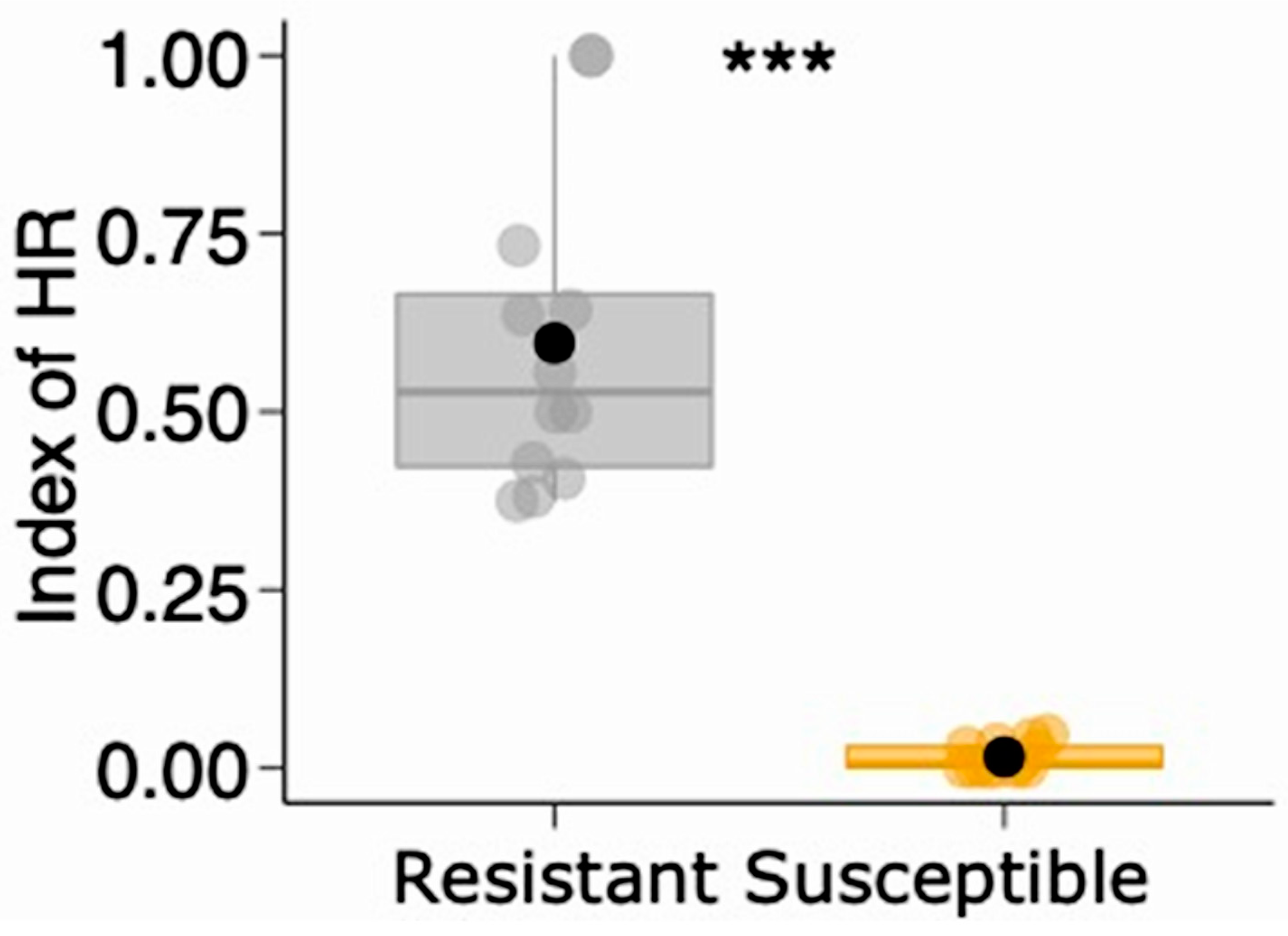 Plants 13 01472 g011