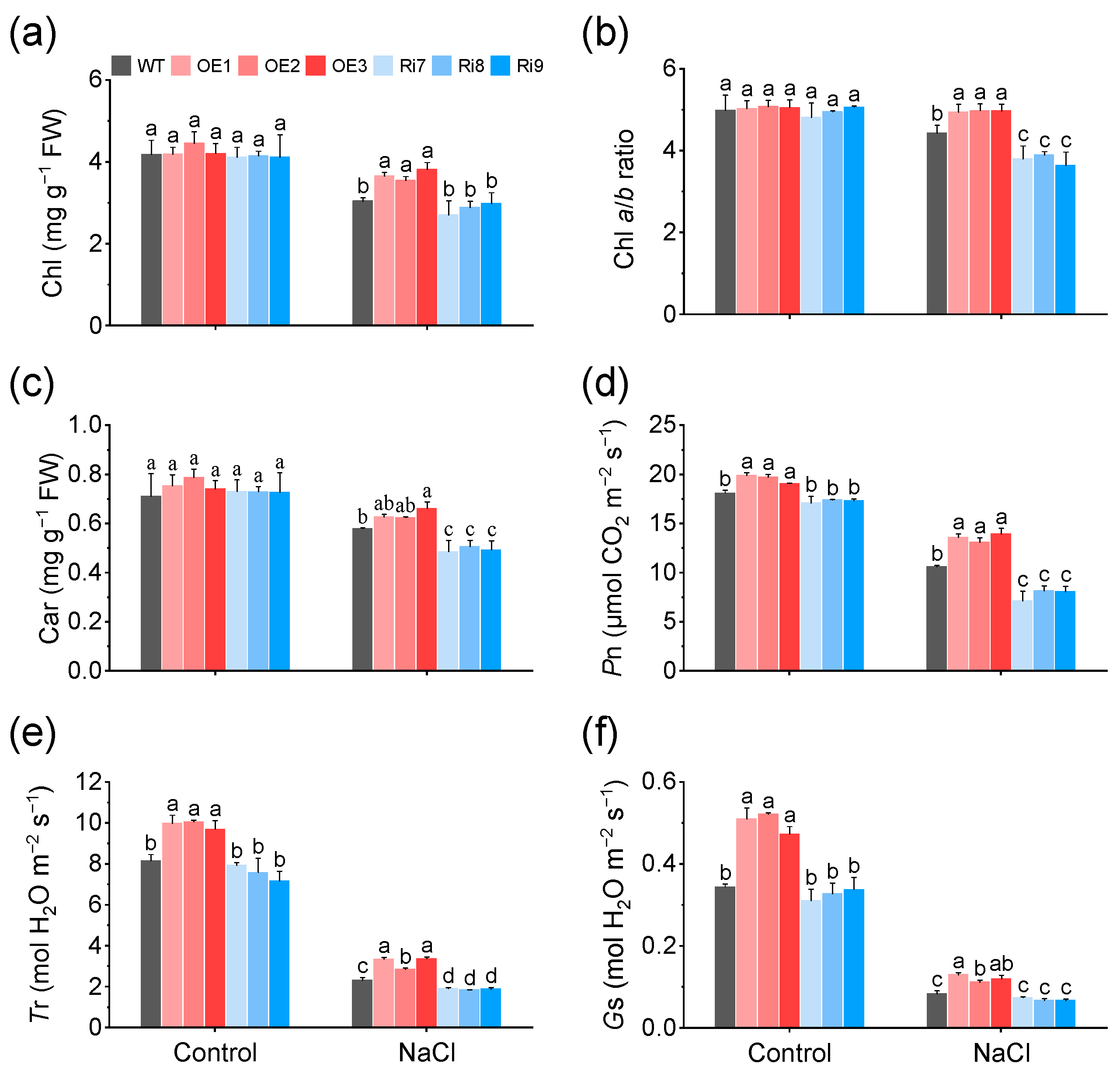 Plants 13 01474 g002