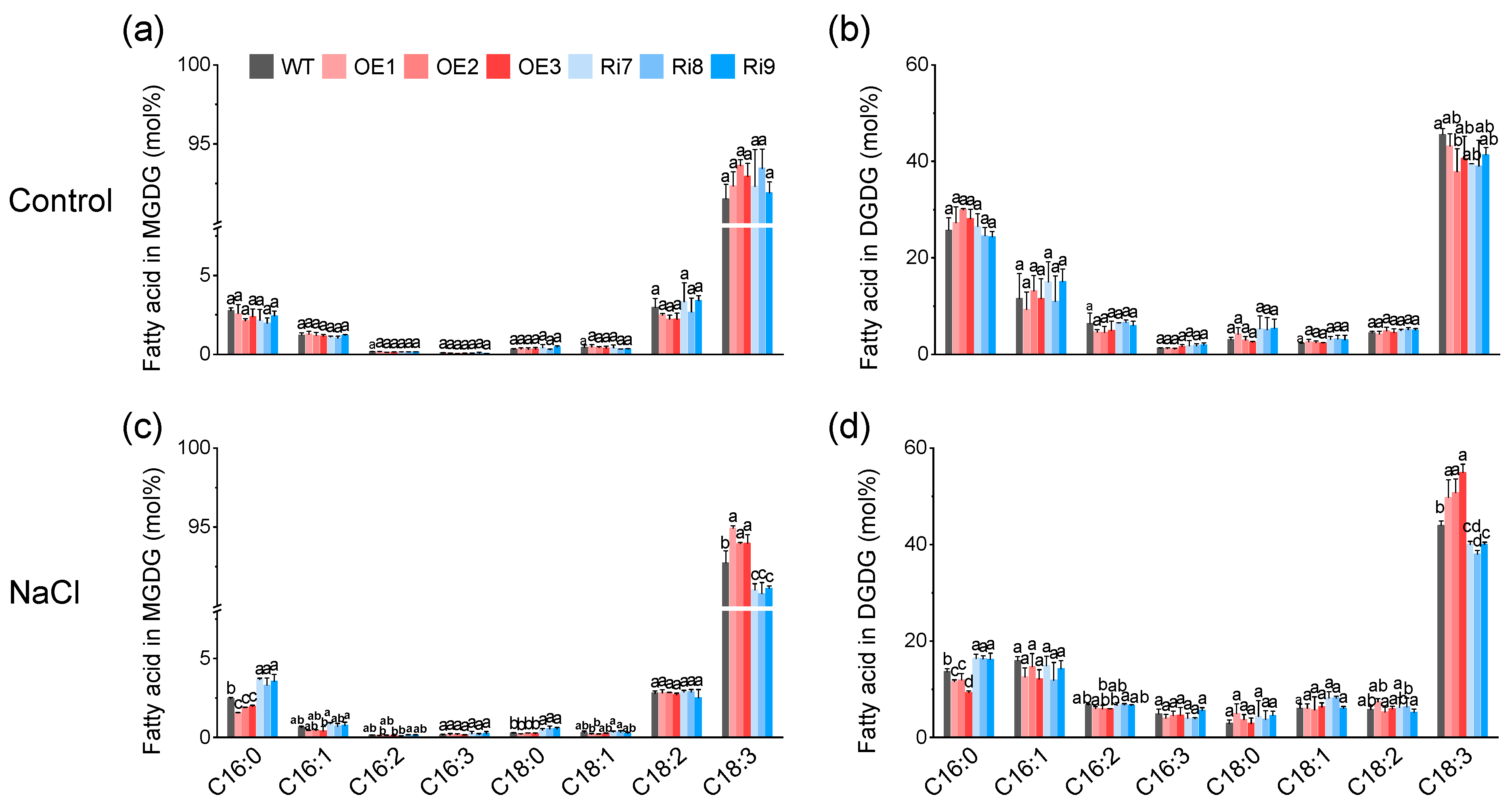 Plants 13 01474 g006