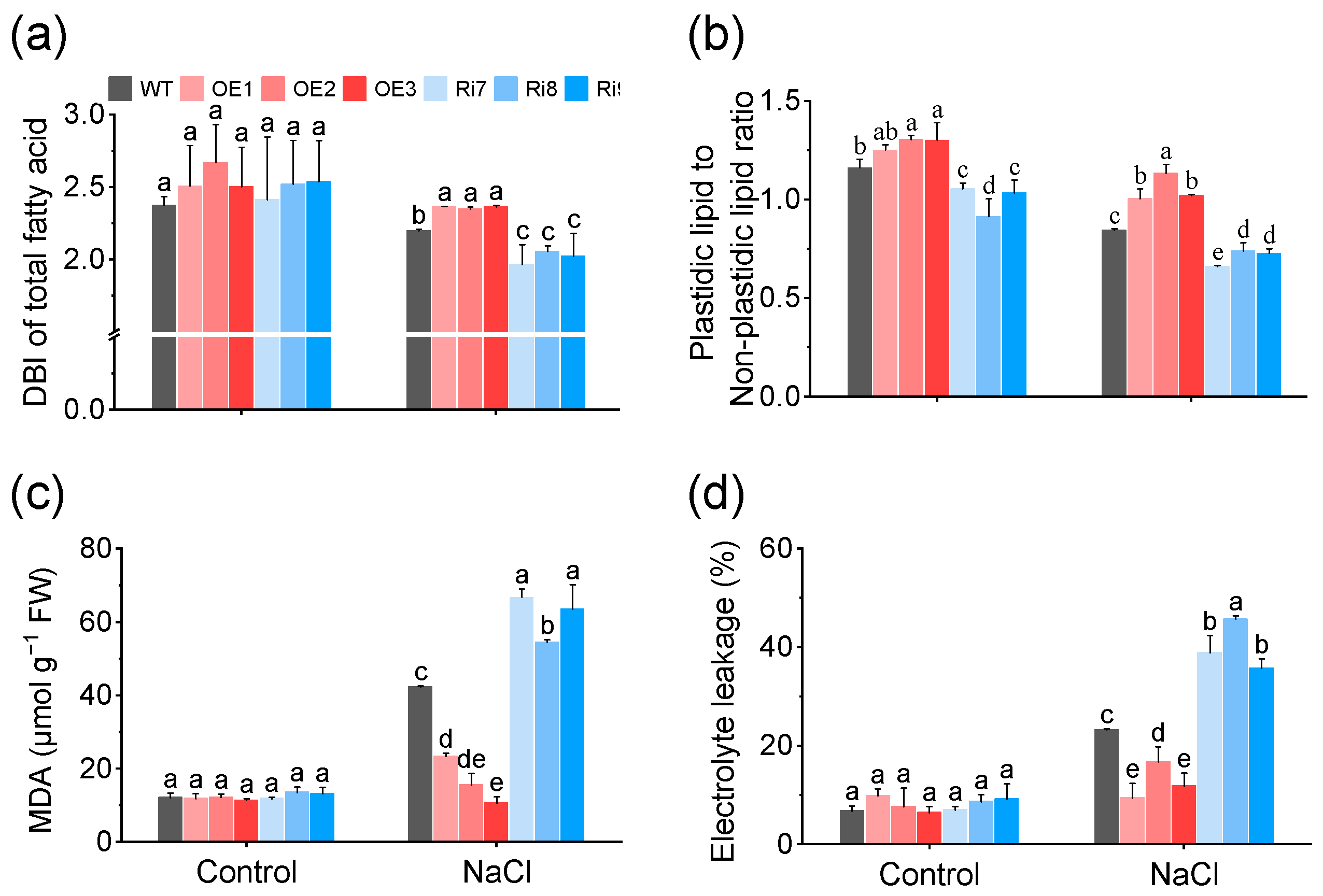 Plants 13 01474 g007