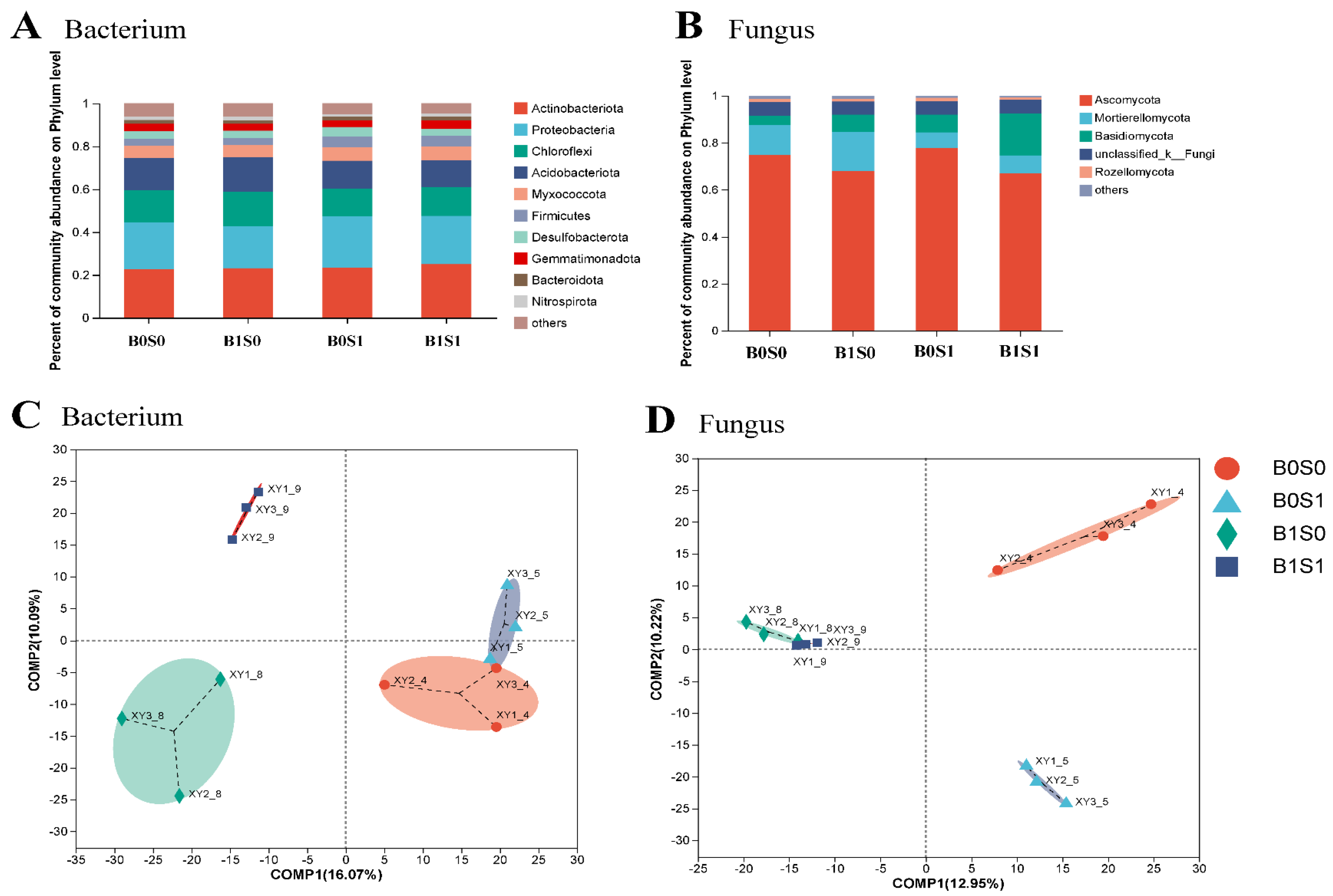 Plants 13 01478 g001