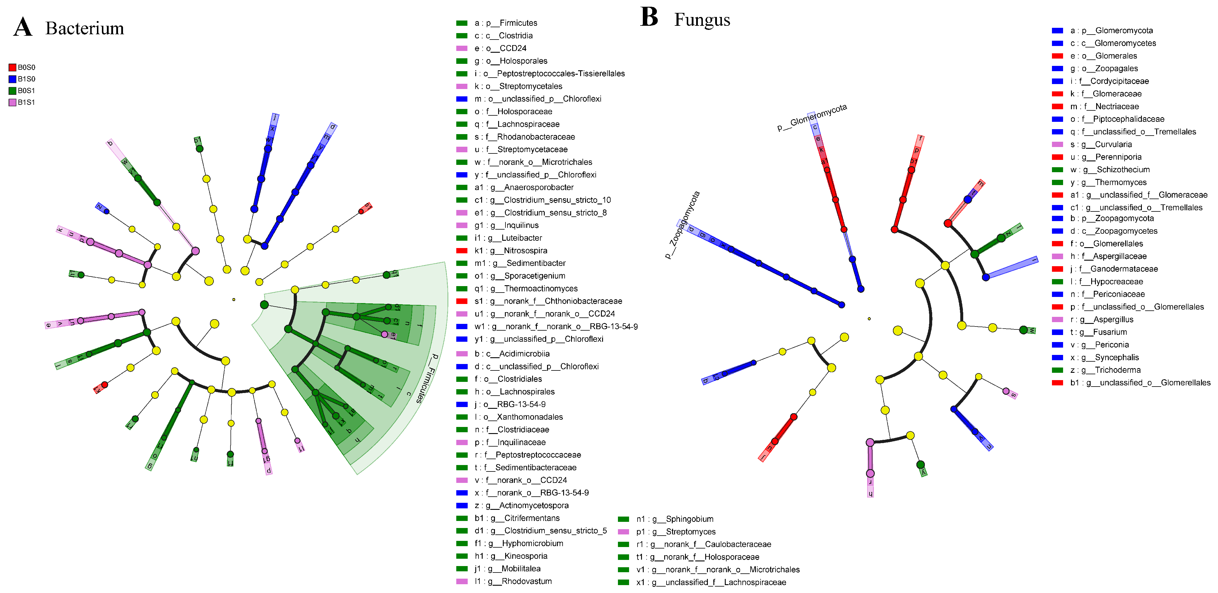 Plants 13 01478 g002