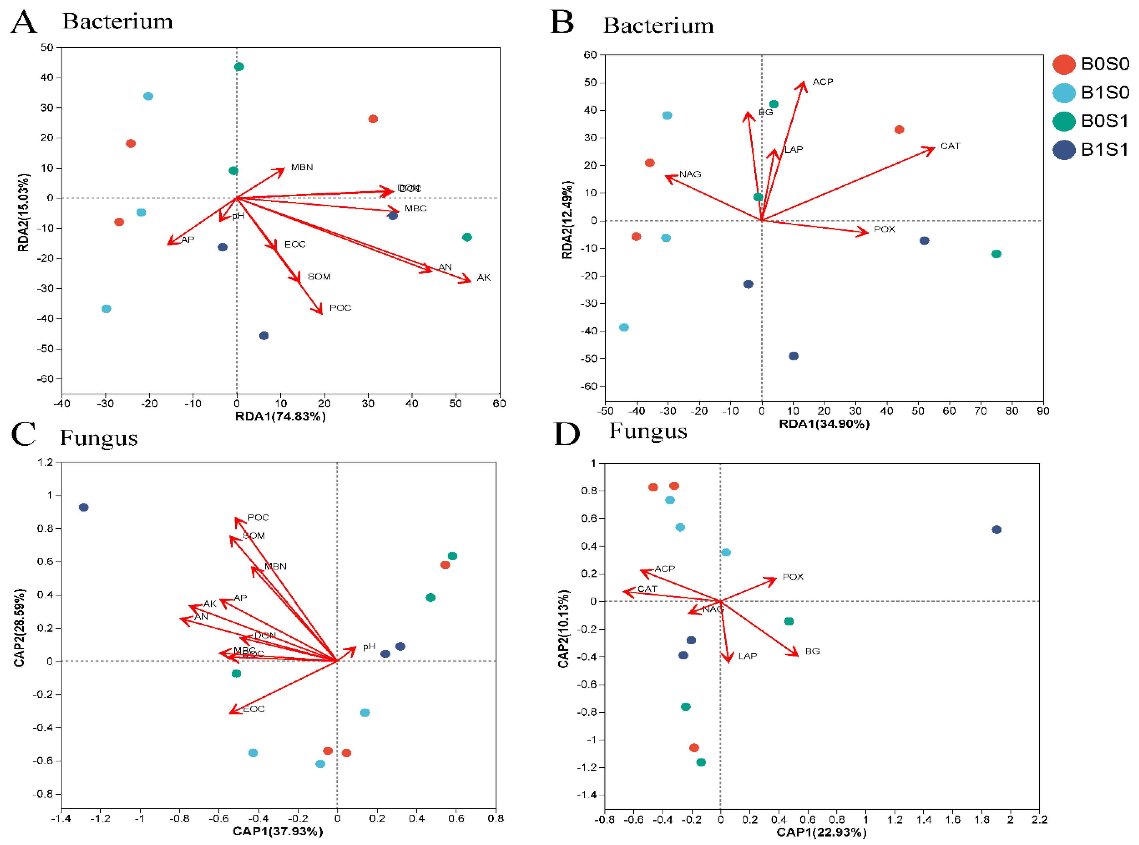 Plants 13 01478 g004