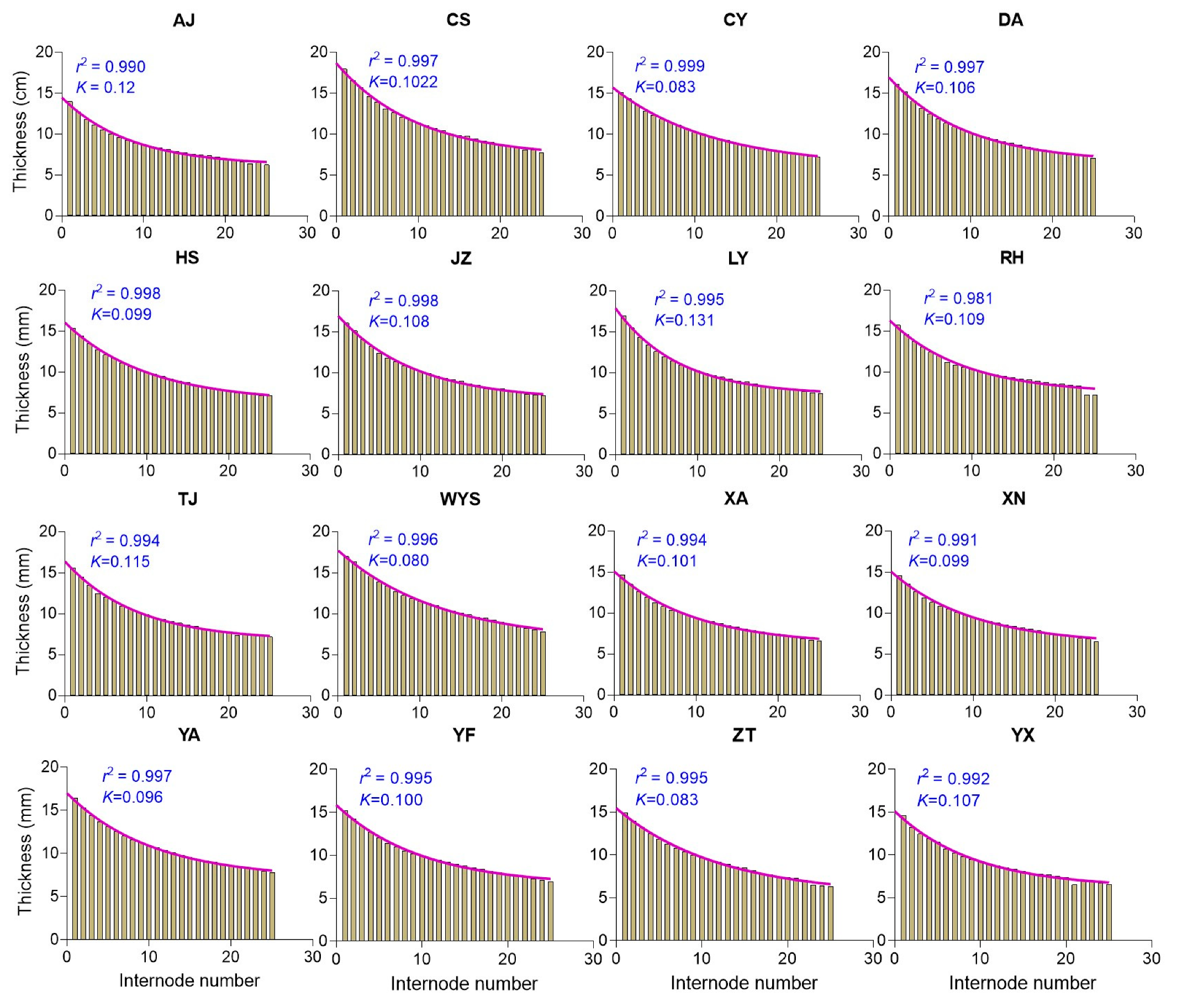 Plants 13 01484 g002