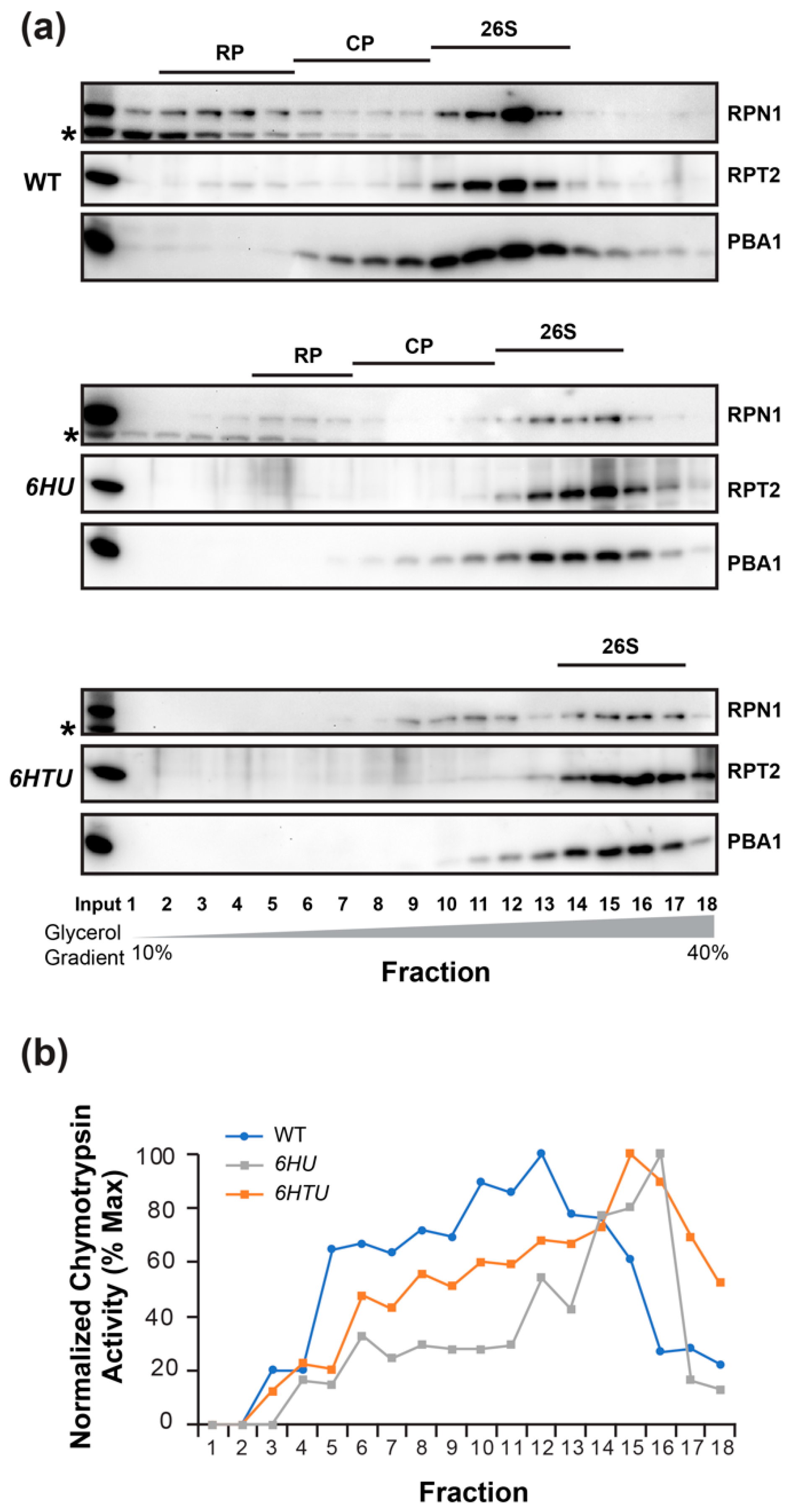 Plants 13 01485 g005