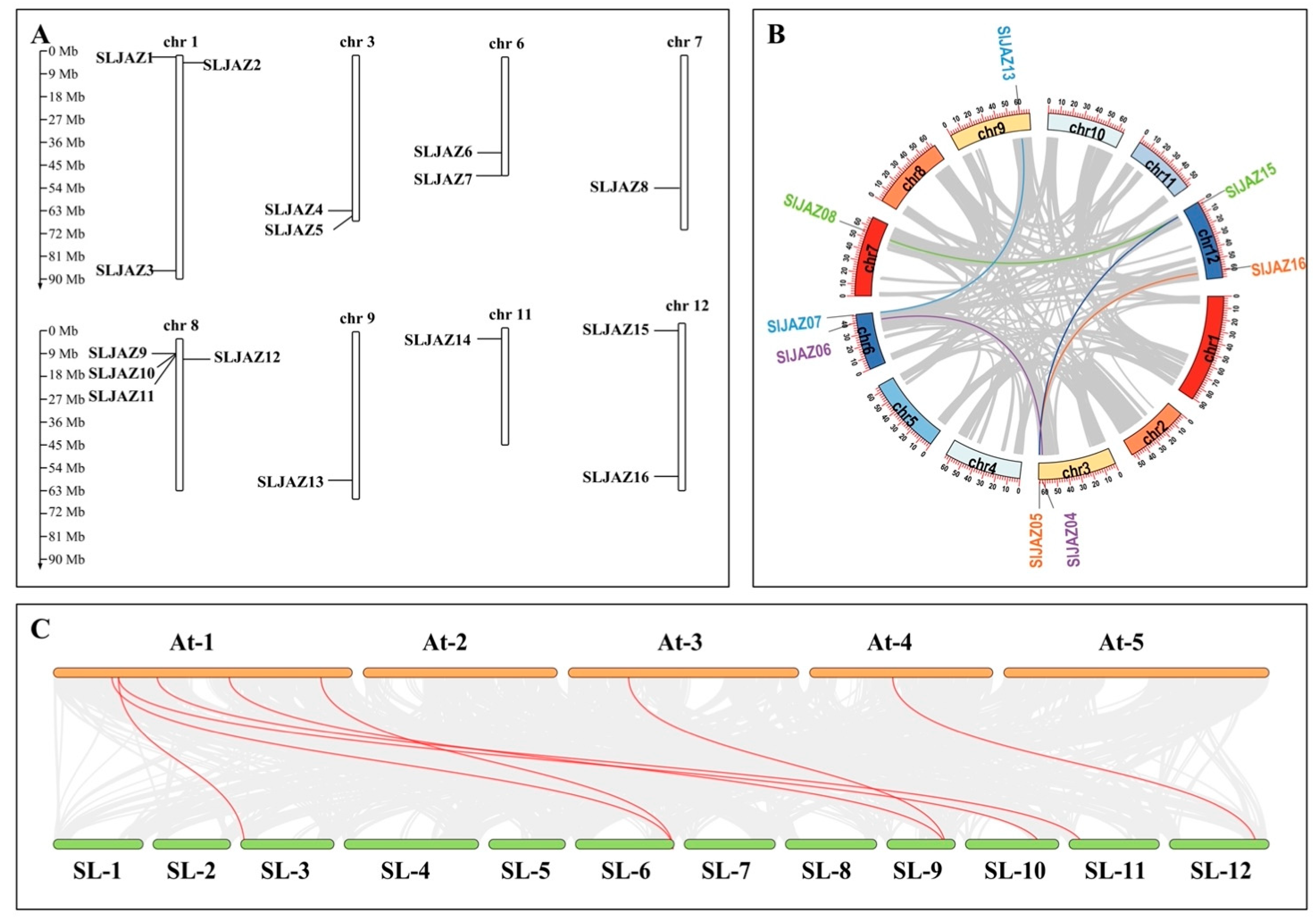 Plants 13 01493 g001