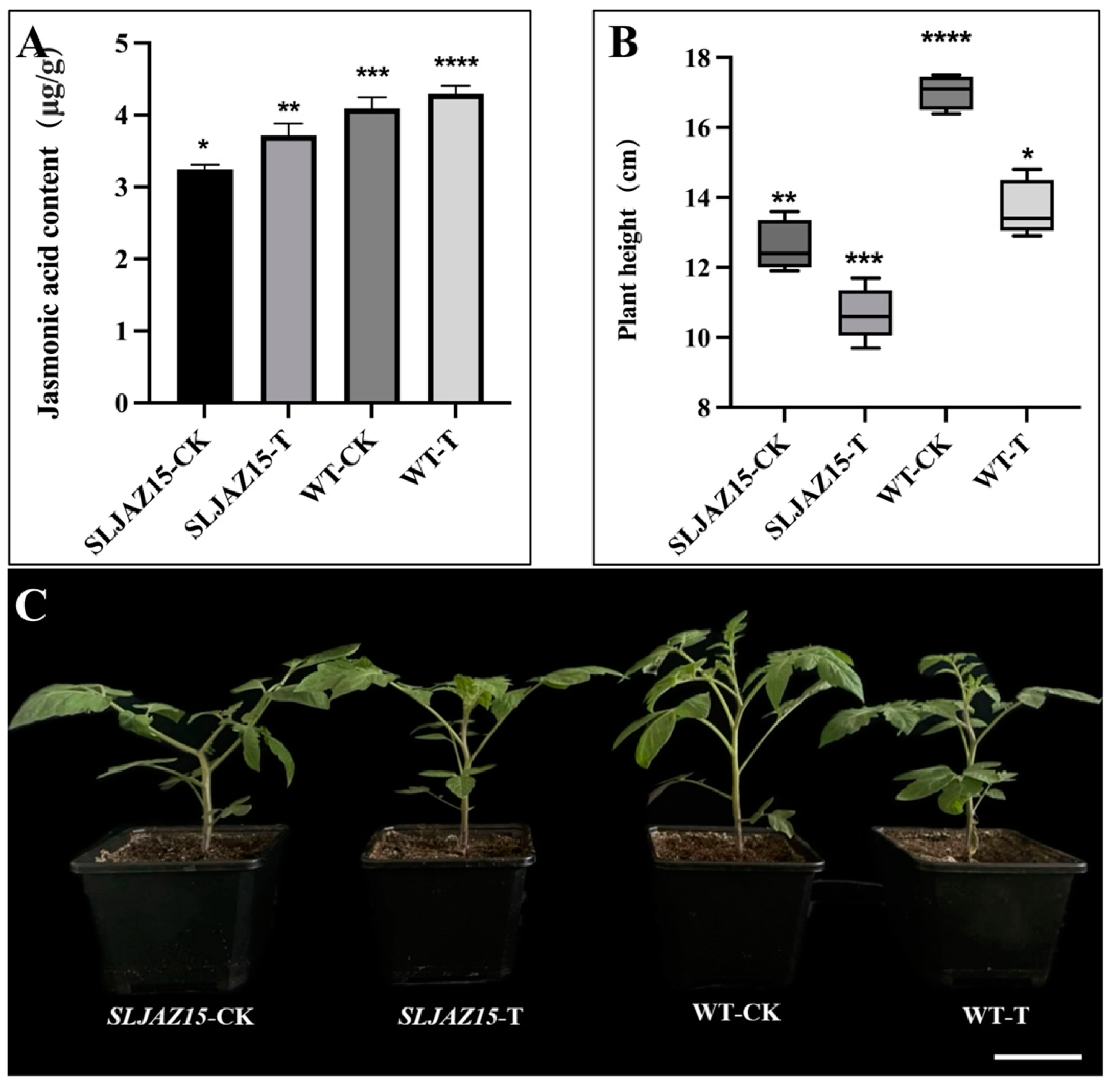 Plants 13 01493 g006