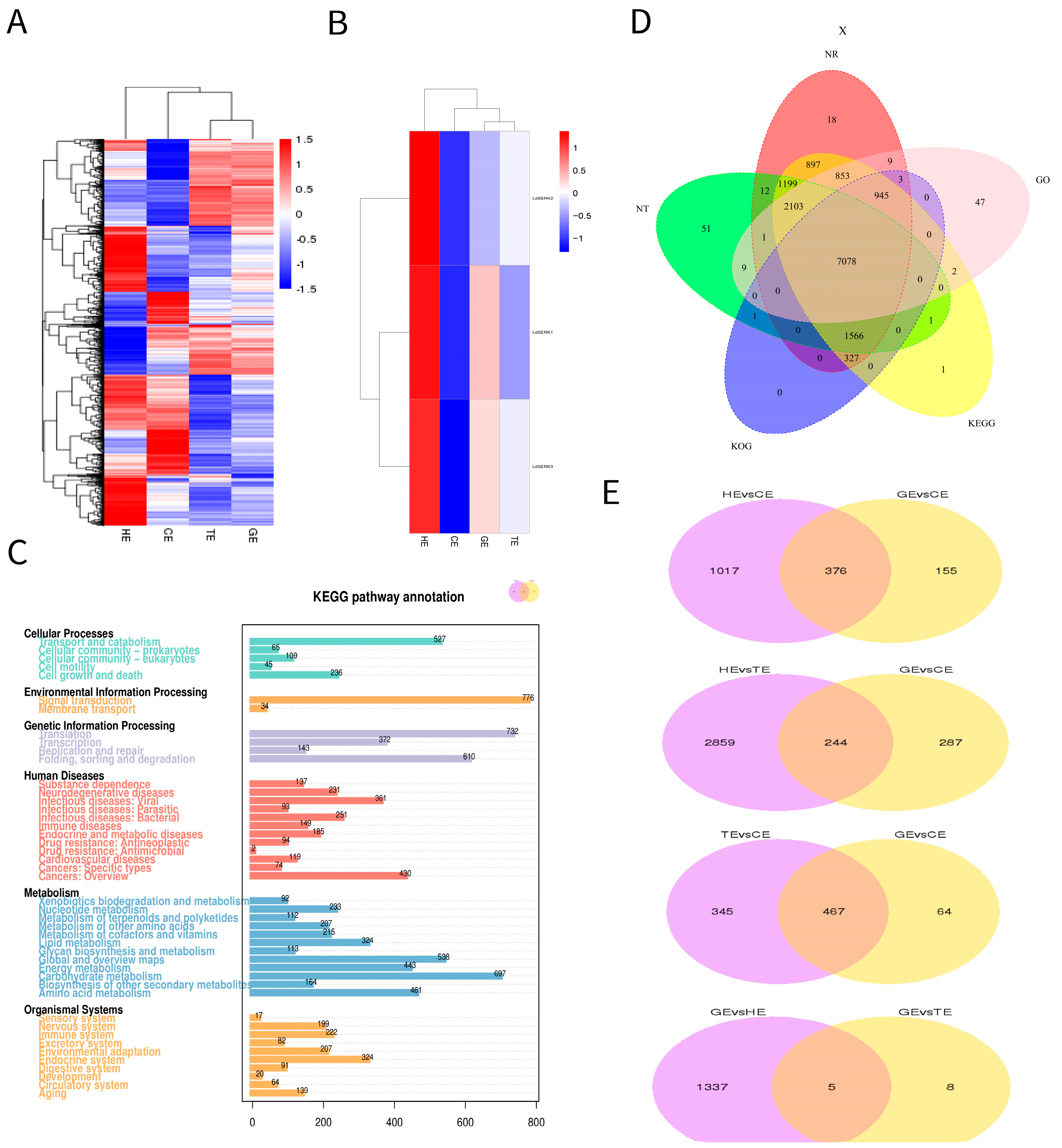 Plants 13 01495 g002
