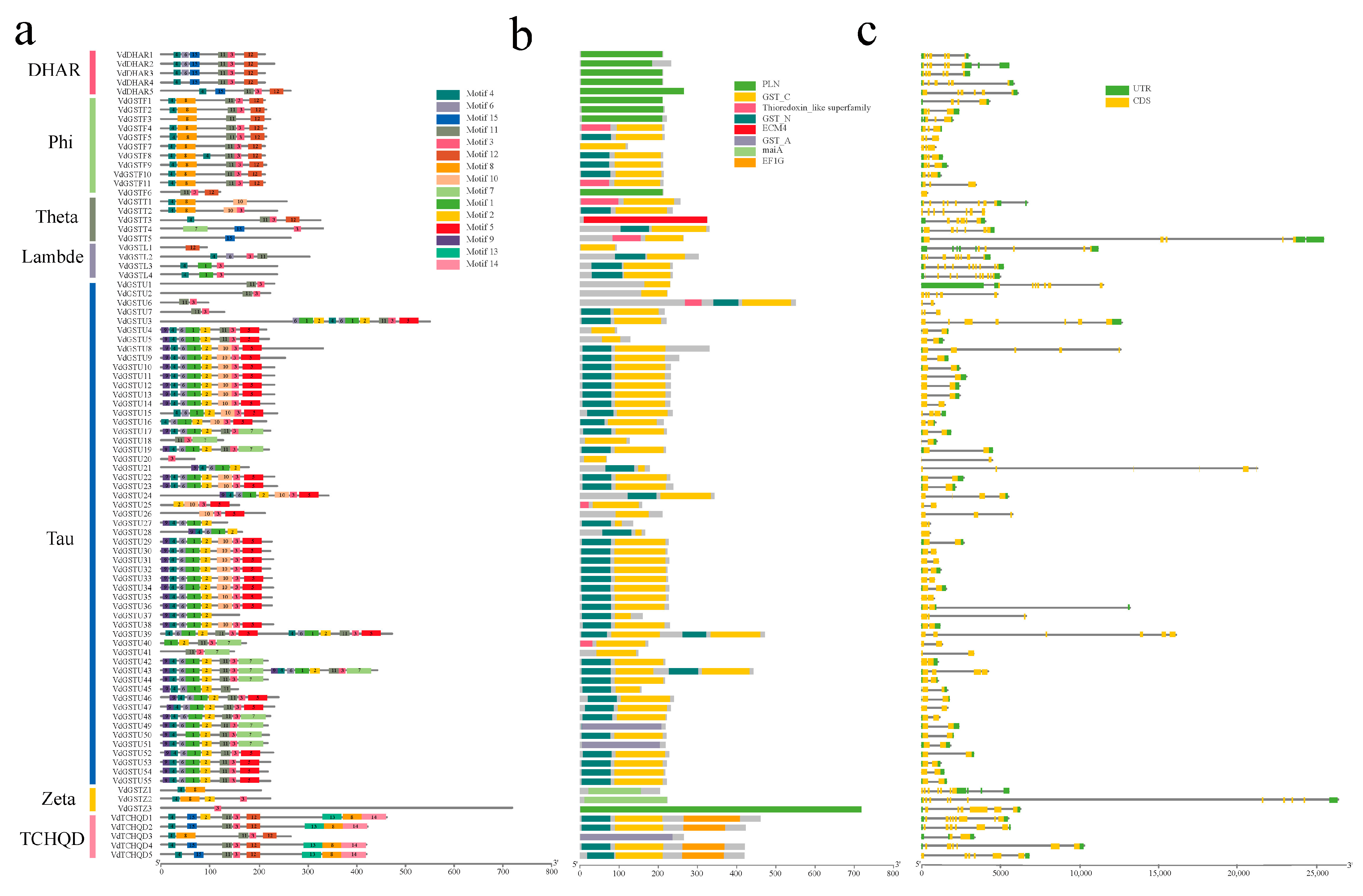 Plants 13 01497 g003
