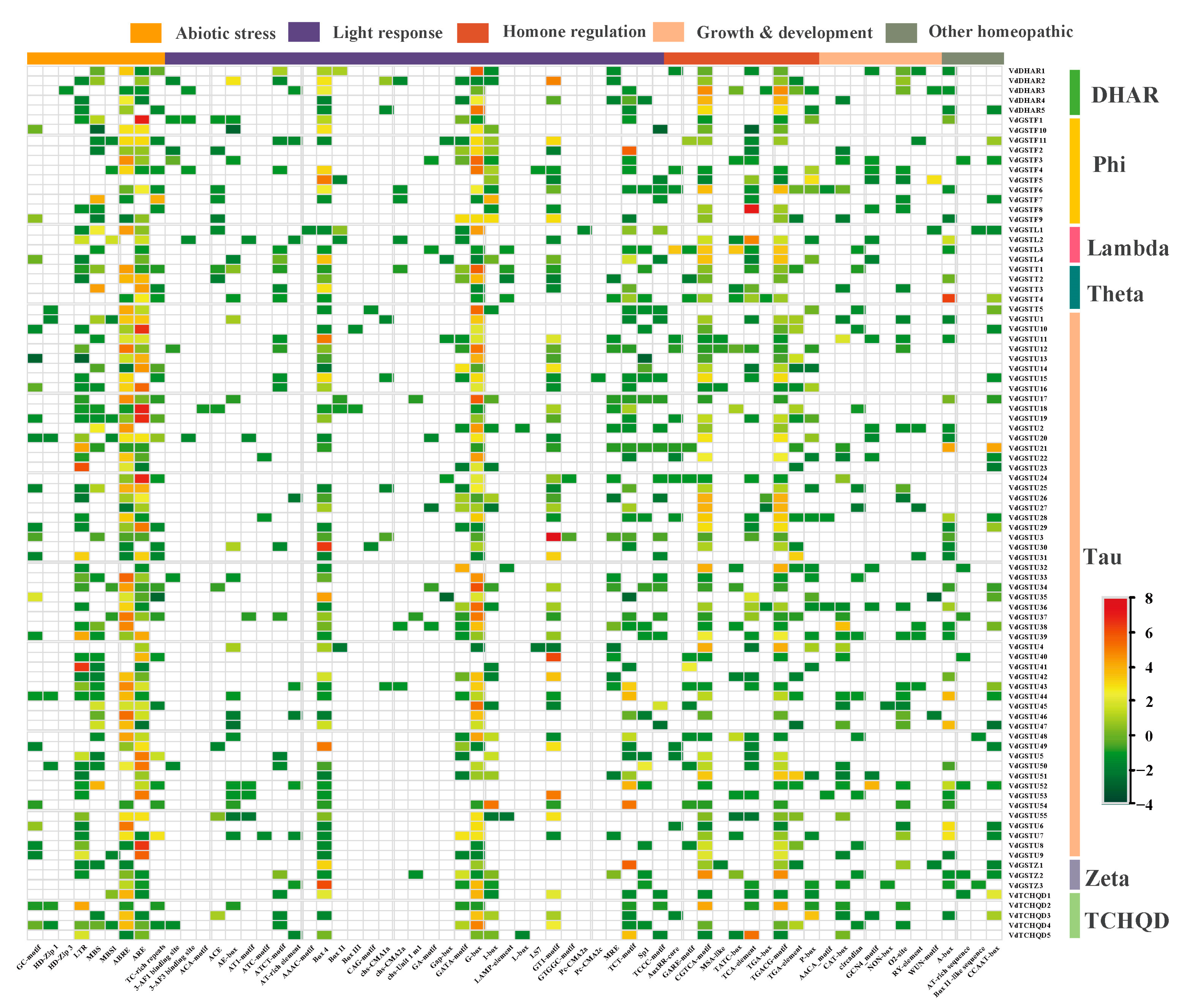Plants 13 01497 g006