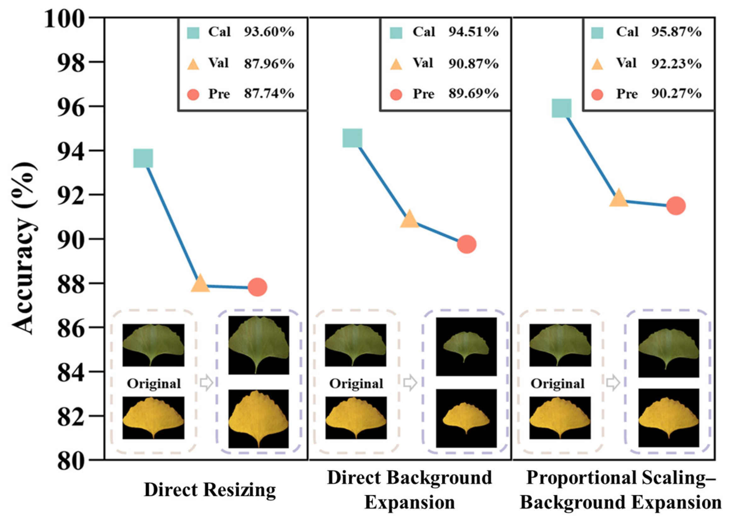 Plants 13 01501 g006