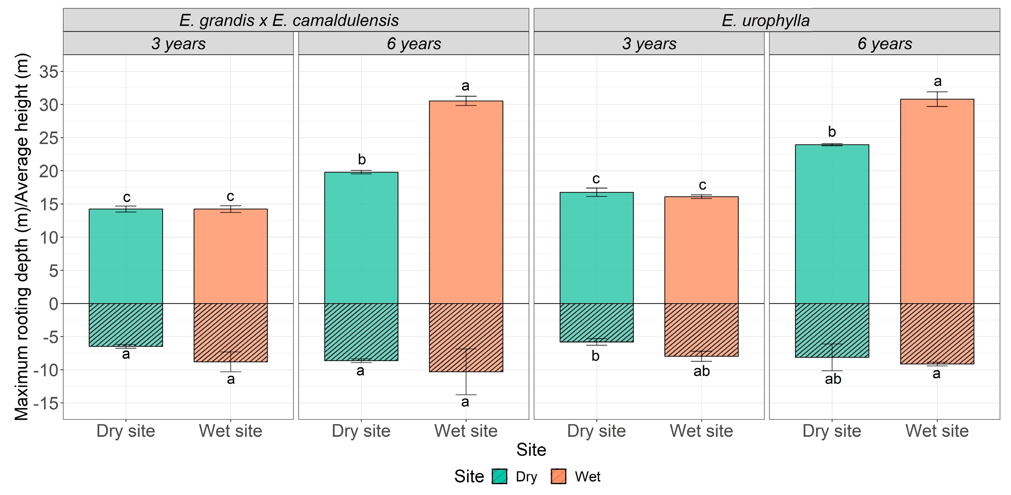 Plants 13 01503 g003