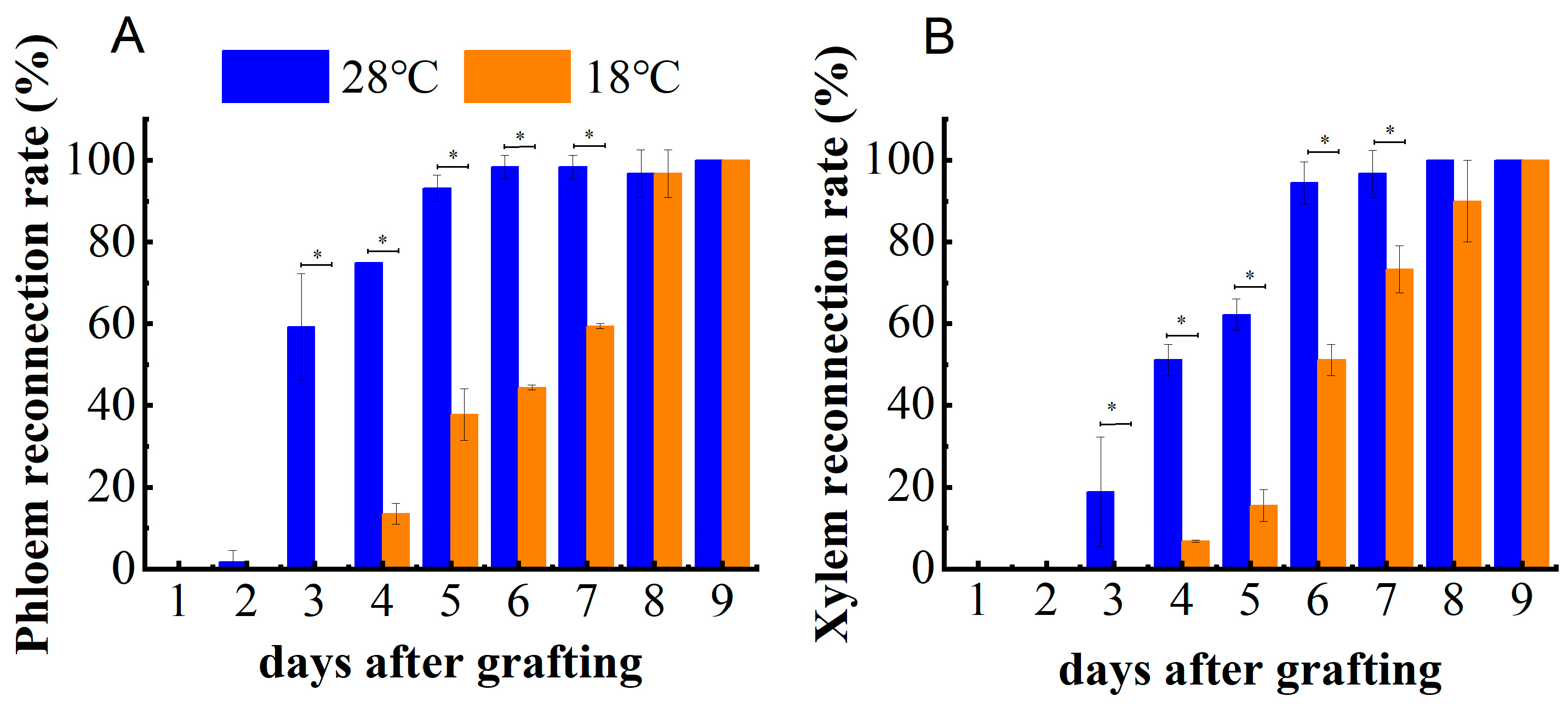 Plants 13 01506 g002