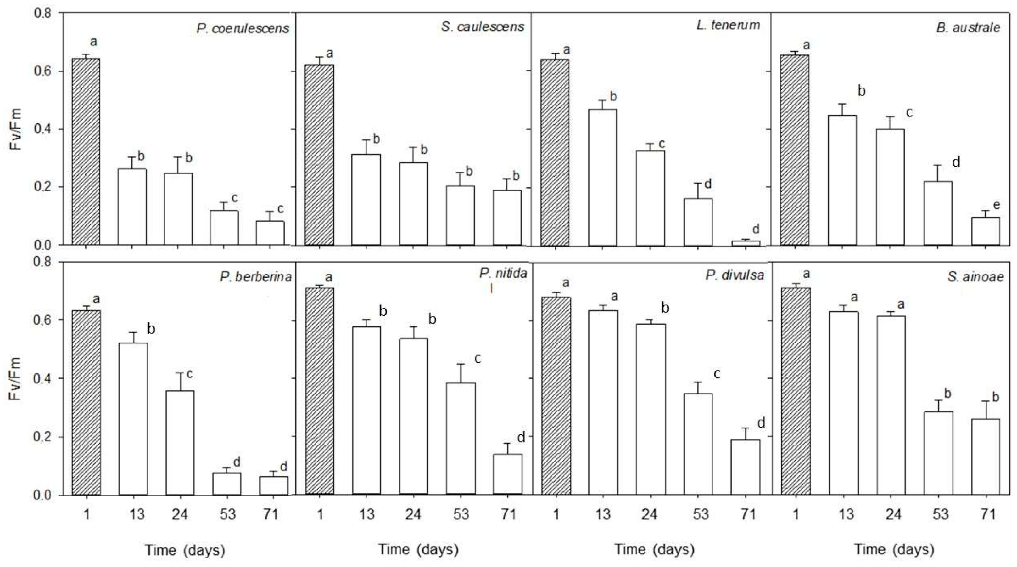 Plants 13 01519 g001 Plants 13 01519 g001