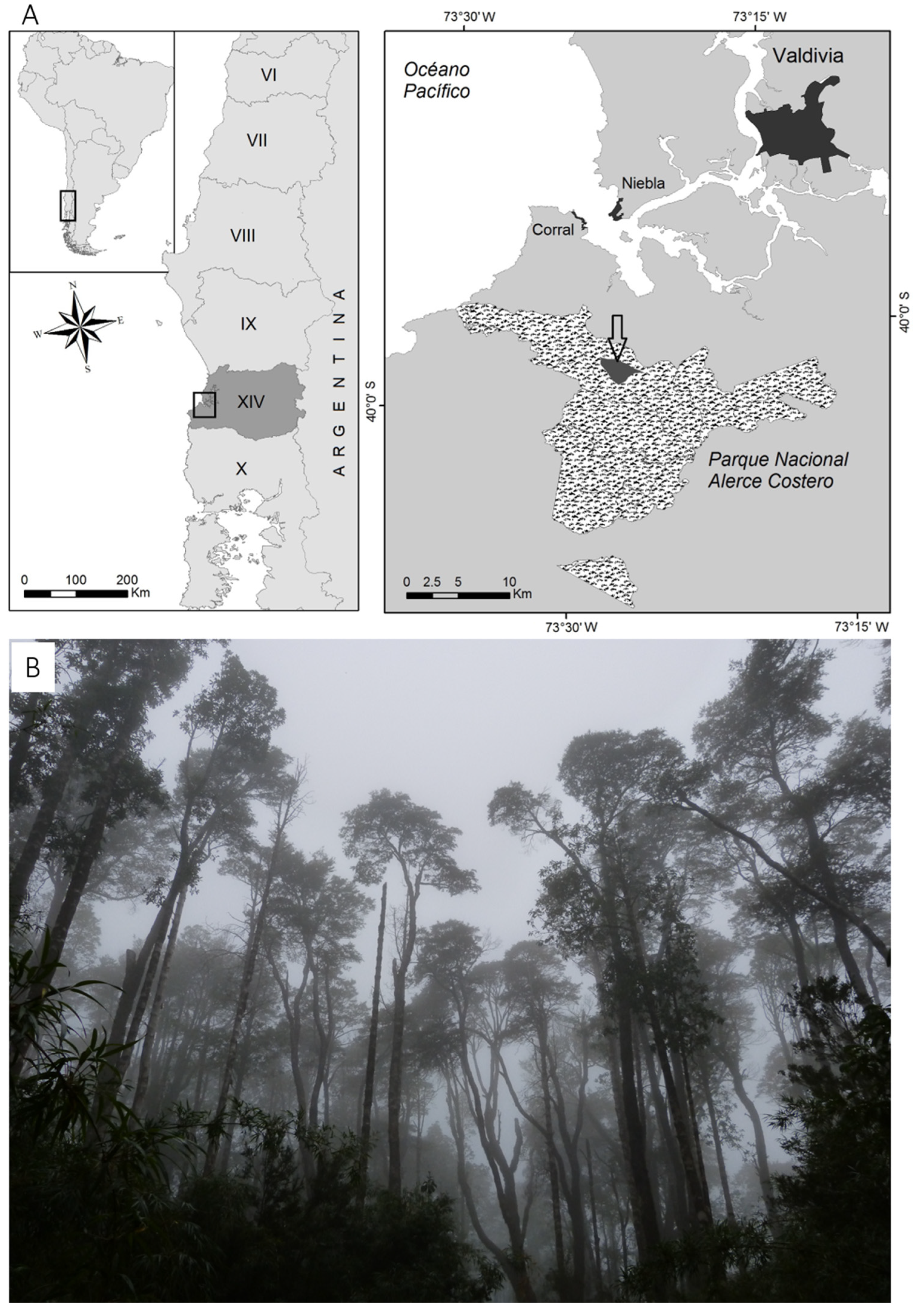 Plants 13 01519 g002 Plants 13 01519 g002