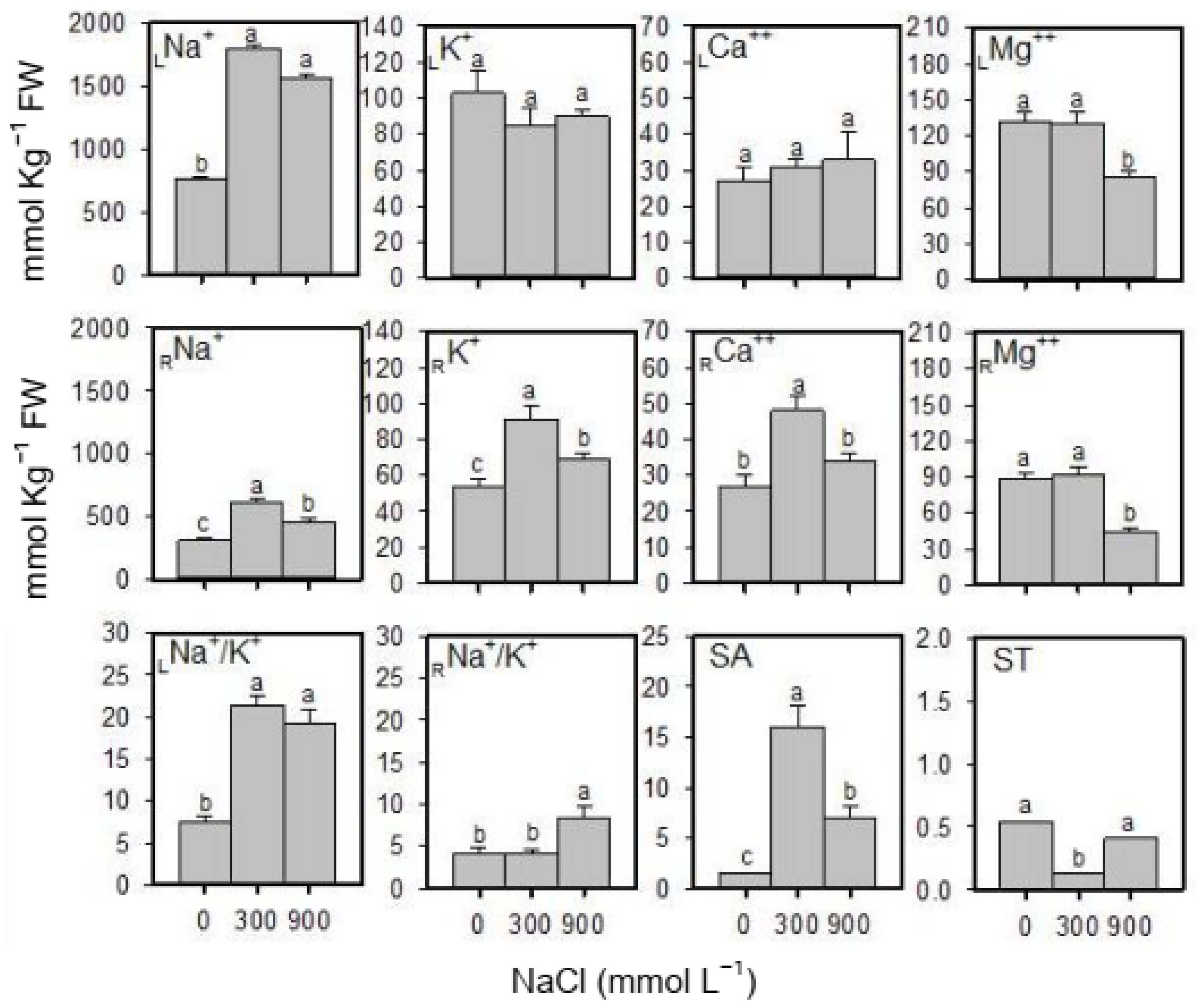 Plants 13 01529 g002