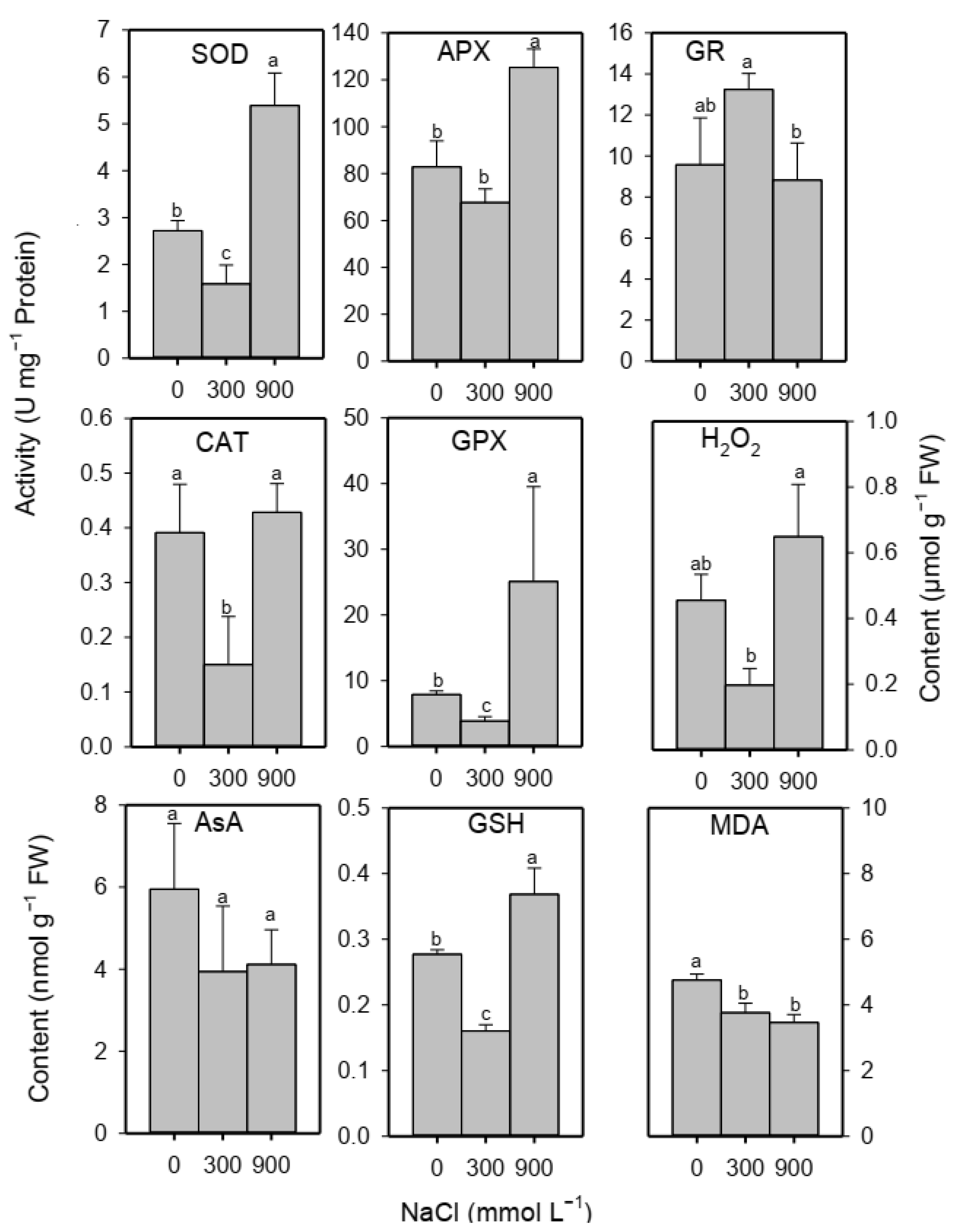 Plants 13 01529 g004
