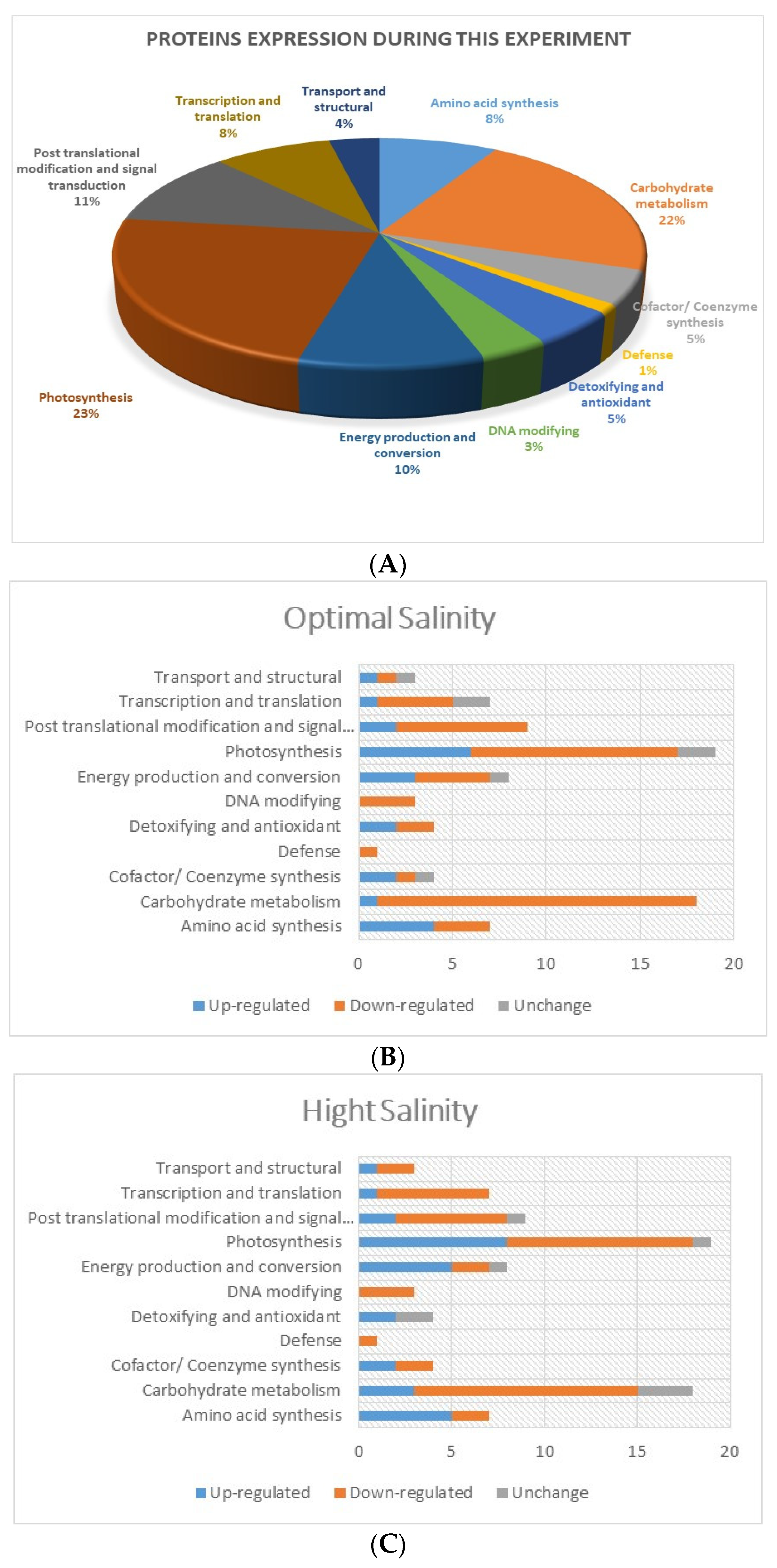 Plants 13 01529 g005