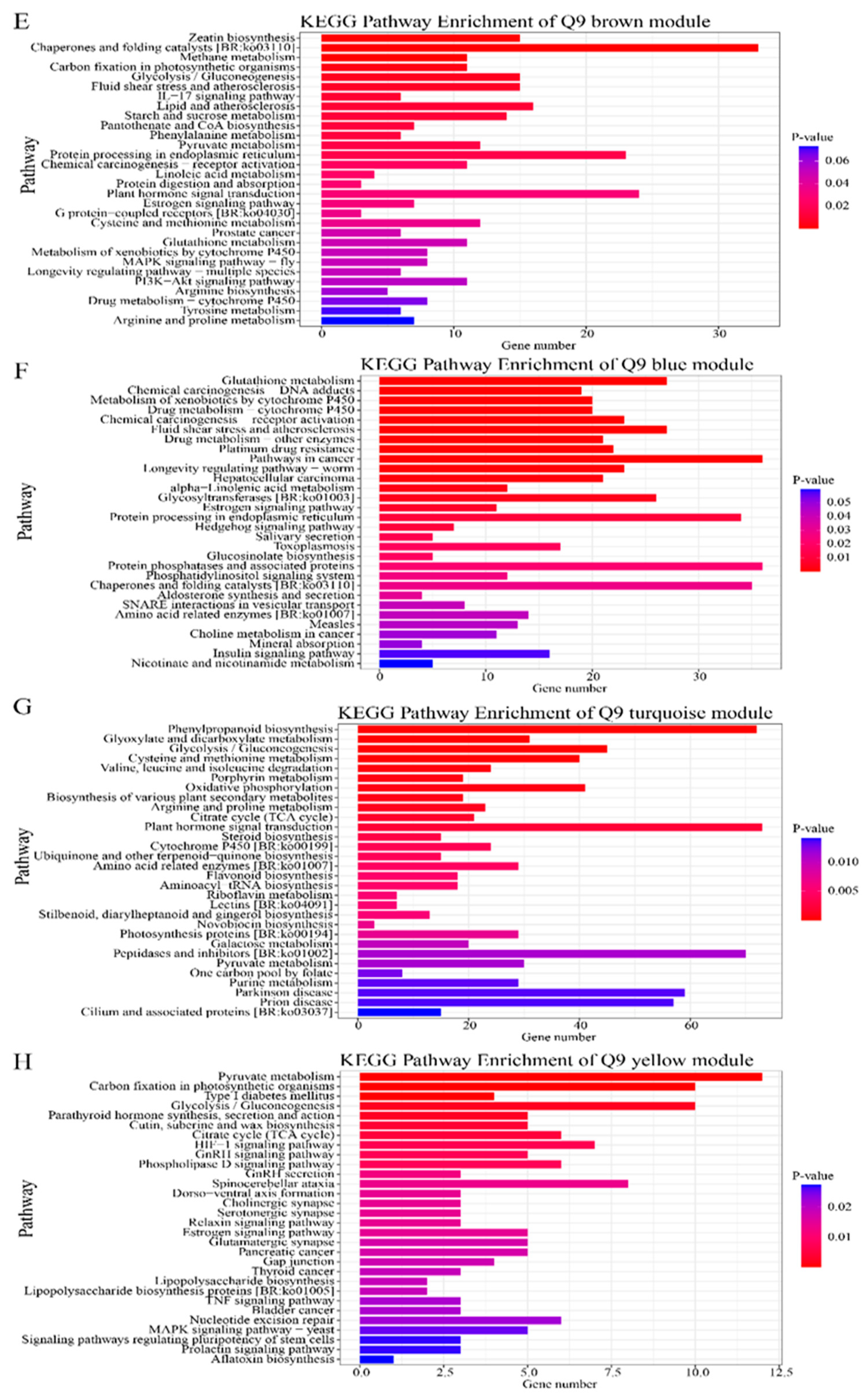 Plants 13 01530 g005b