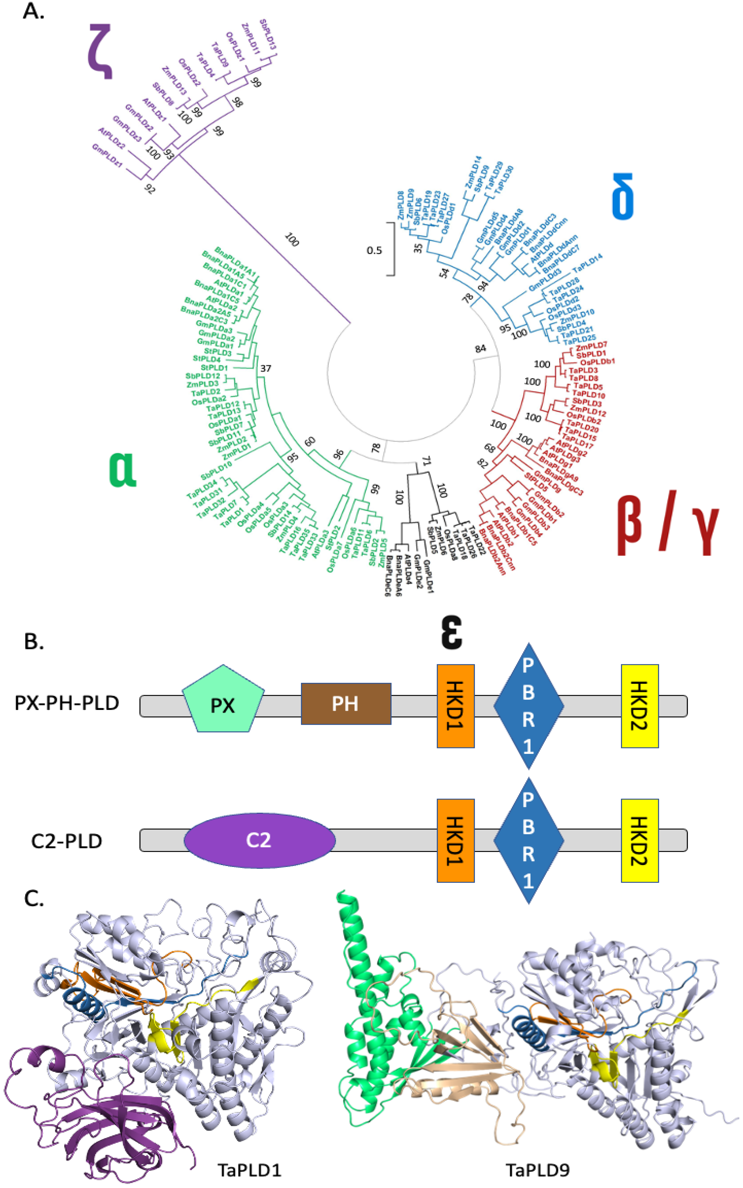 Plants 13 01532 g002