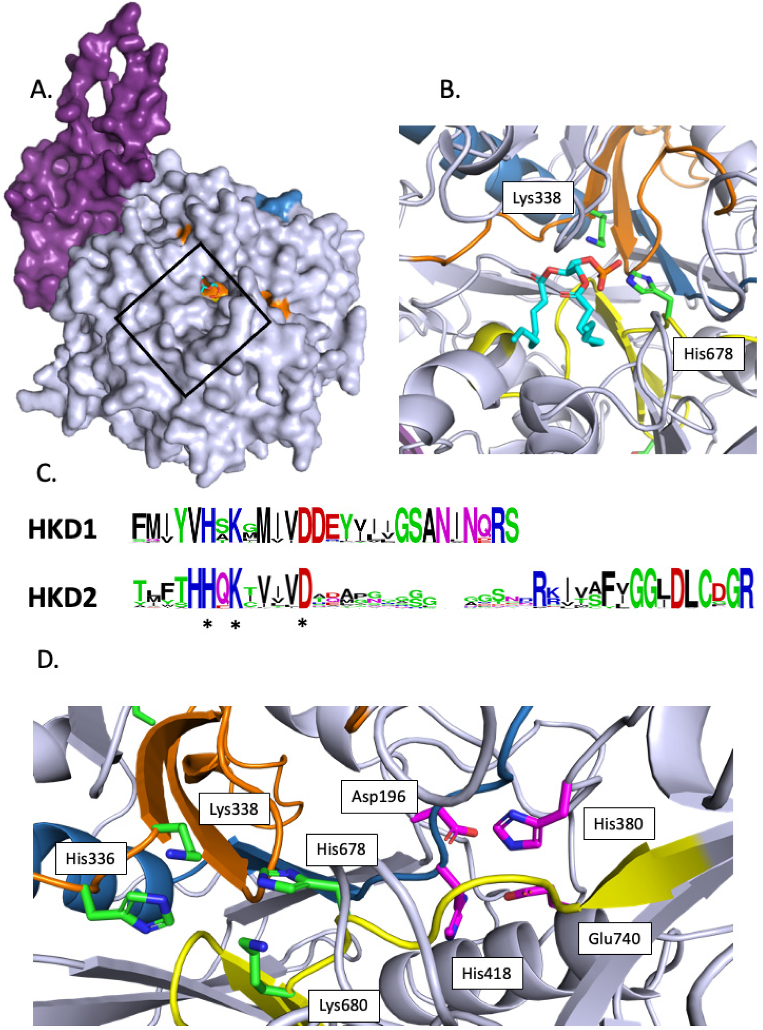 Plants 13 01532 g003