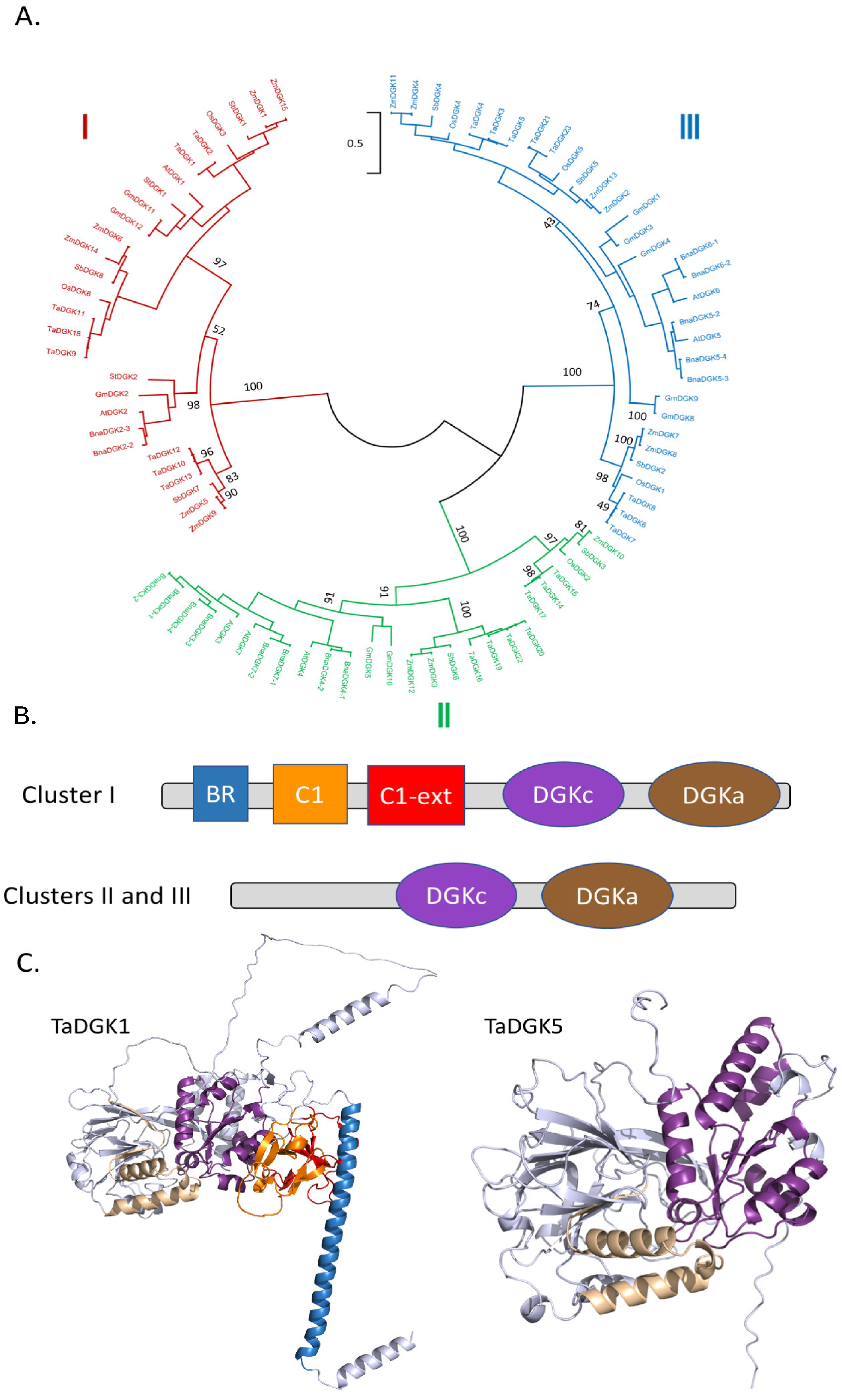 Plants 13 01532 g005