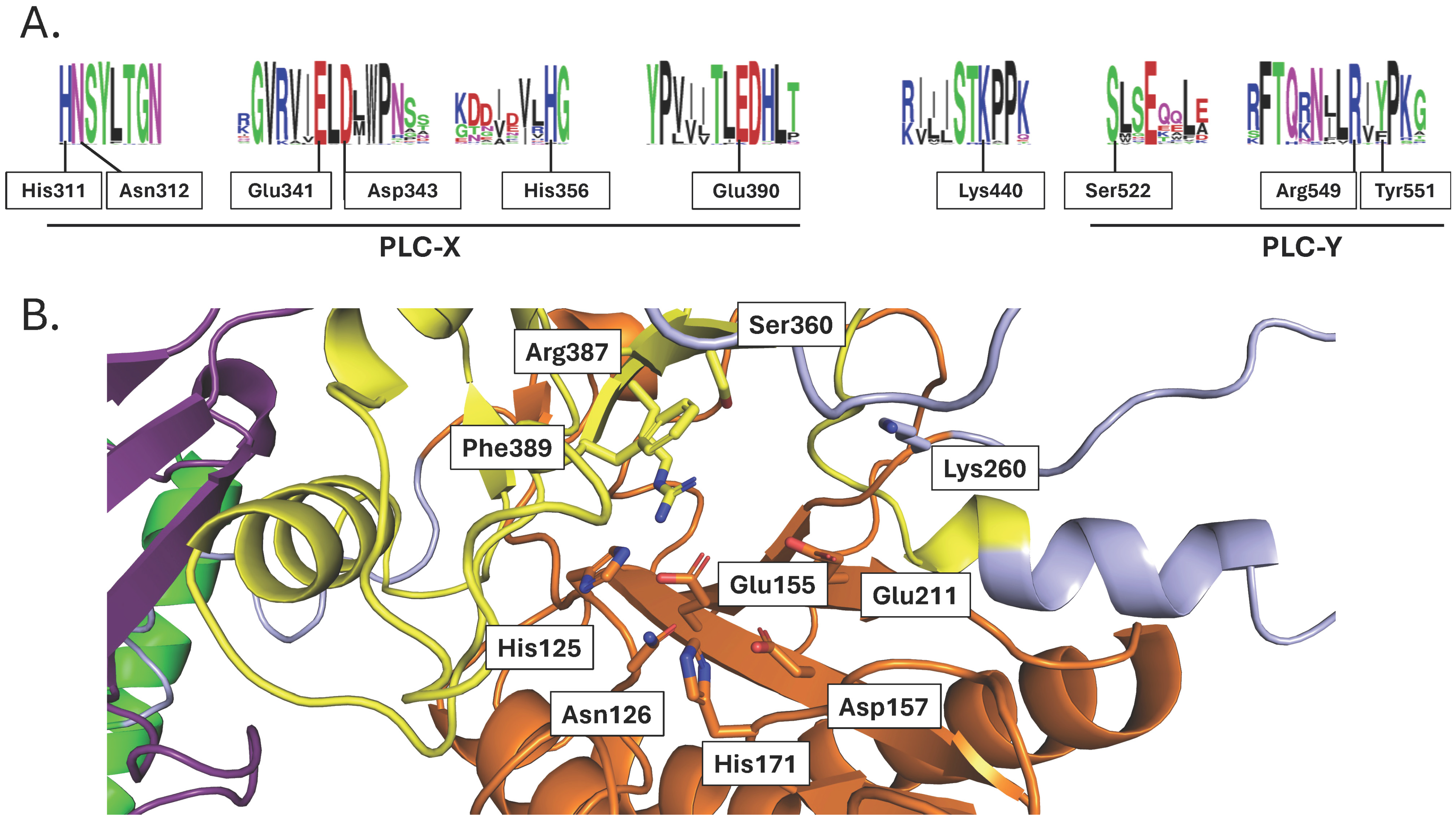 Plants 13 01532 g008