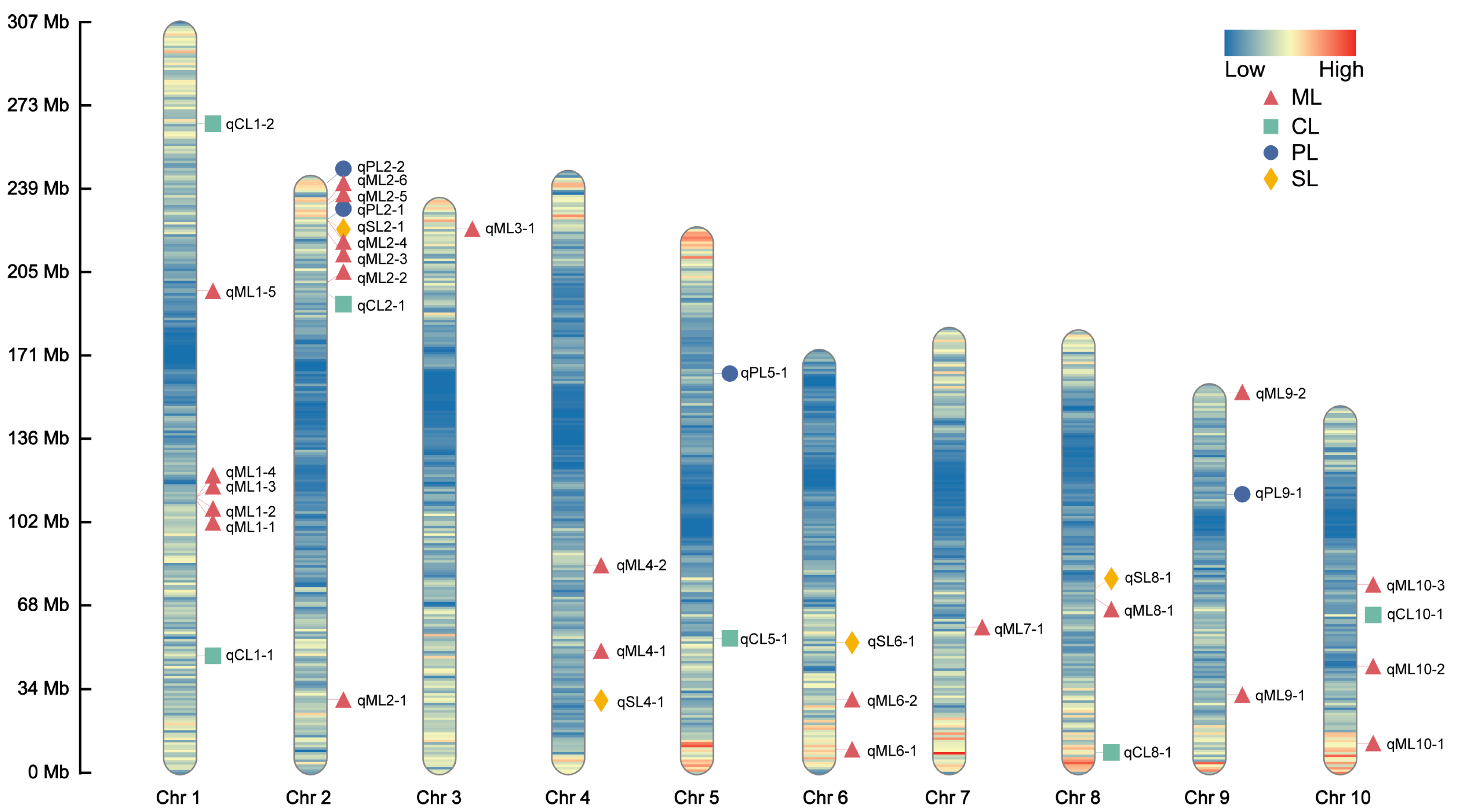 Plants 13 01533 g003