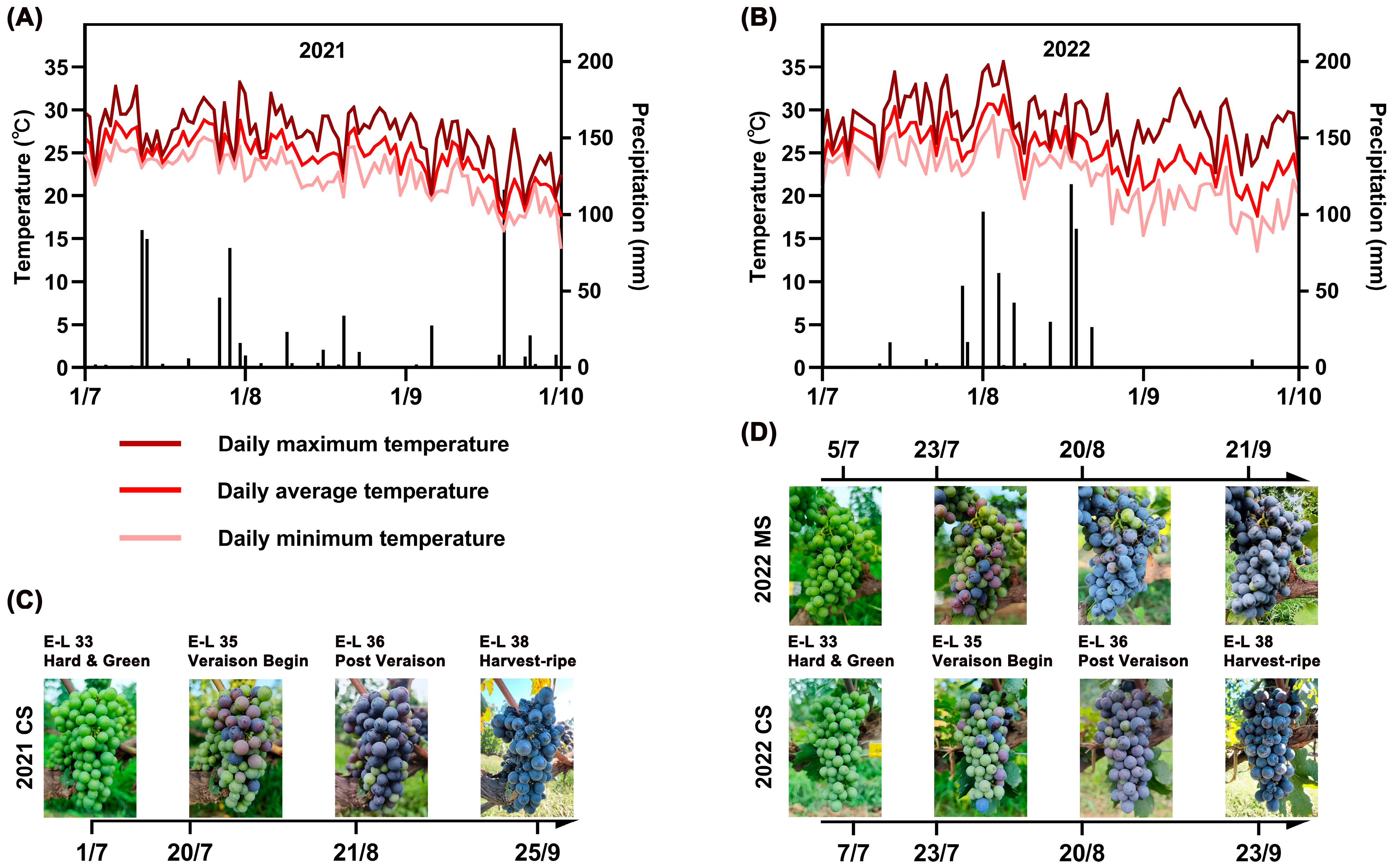 Plants 13 01543 g001