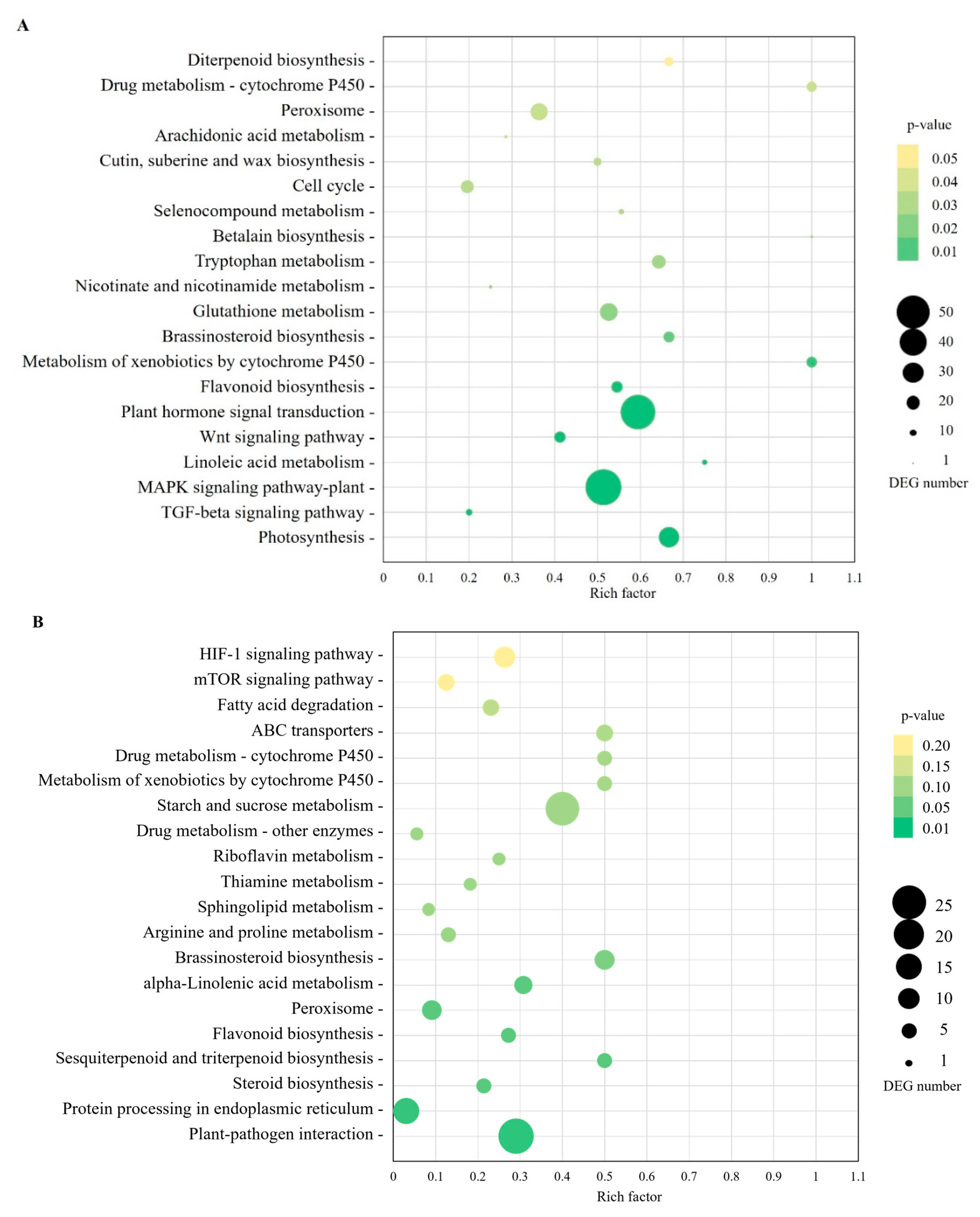 Plants 13 01551 g003