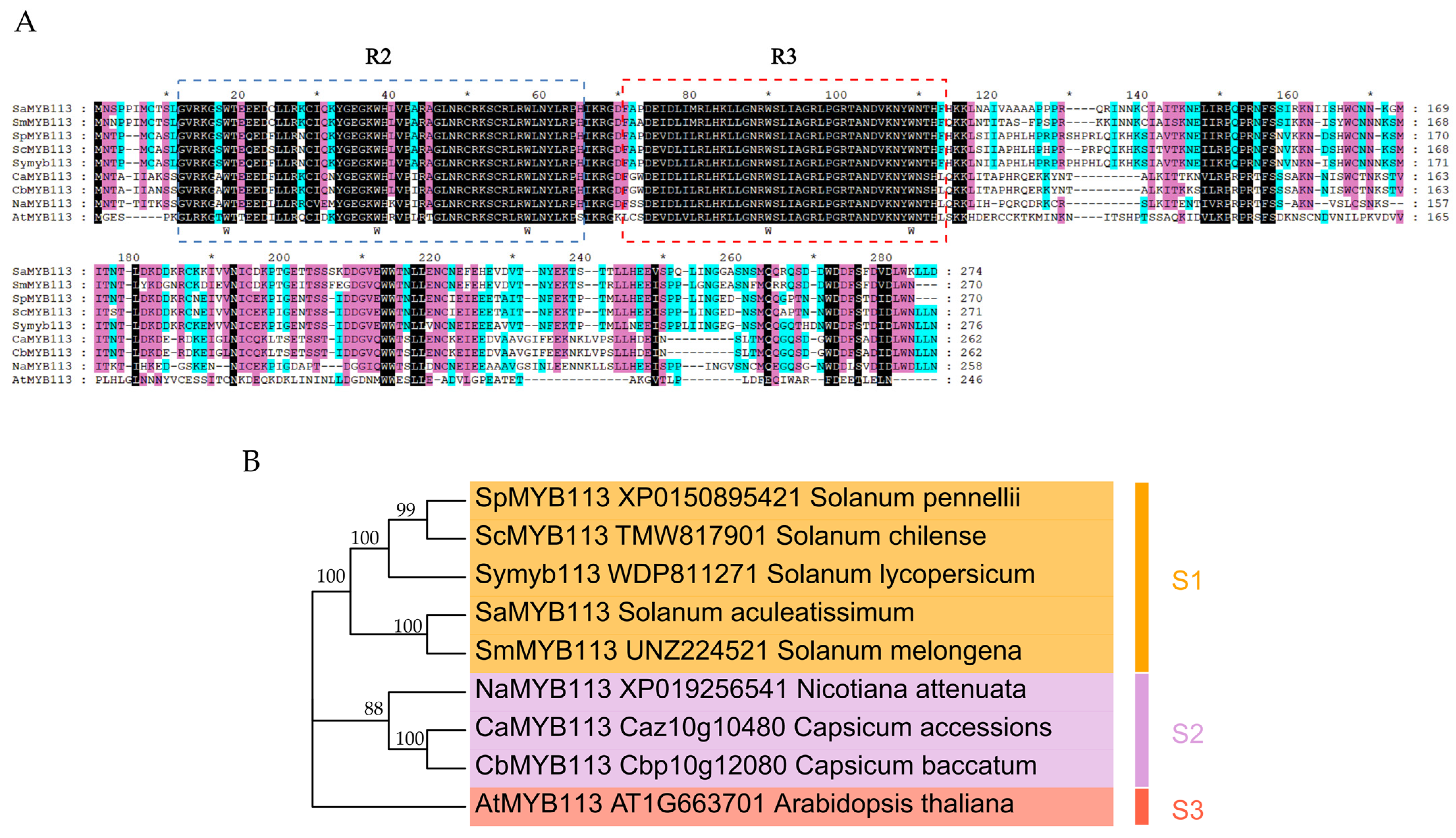 Plants 13 01570 g001