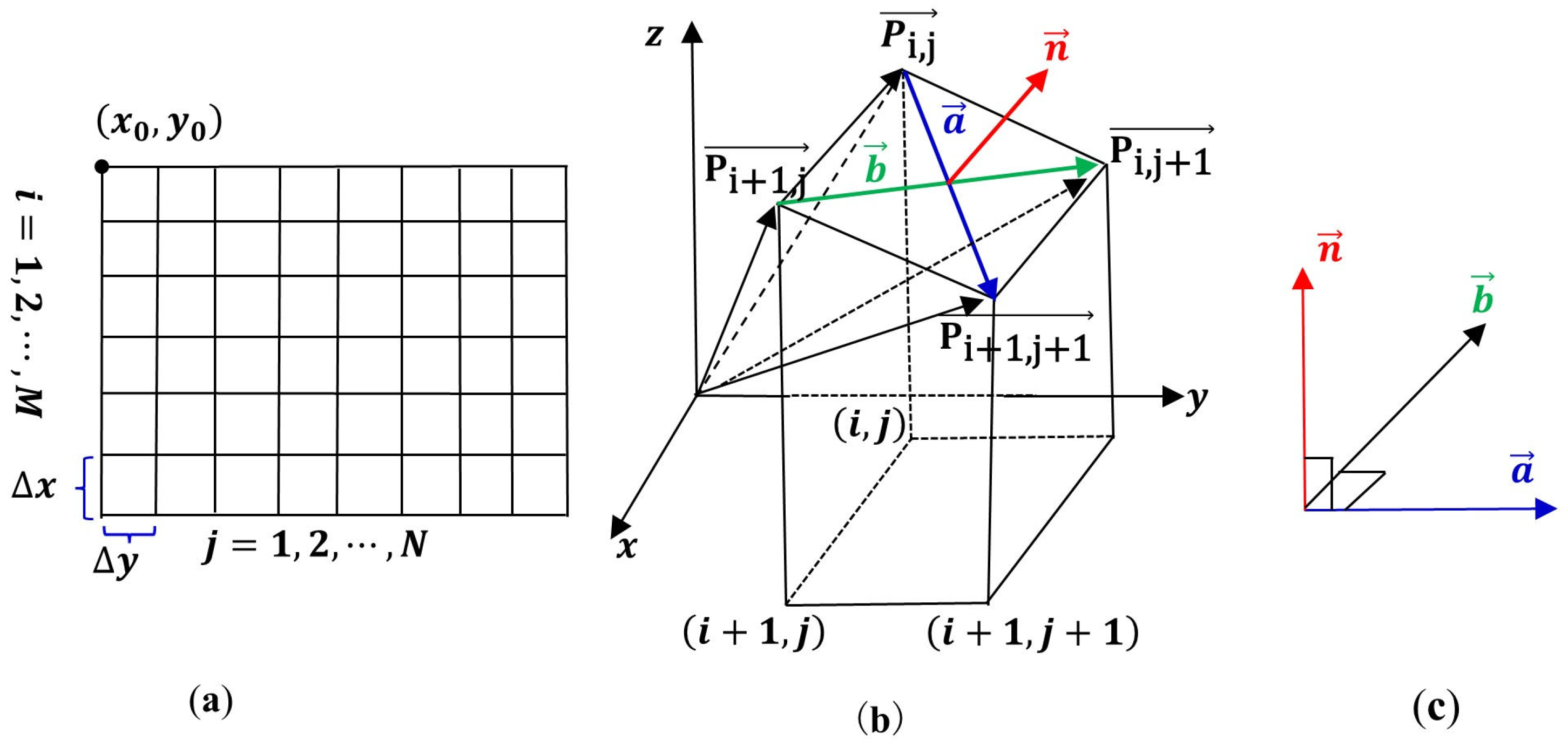 Plants 13 01571 g002