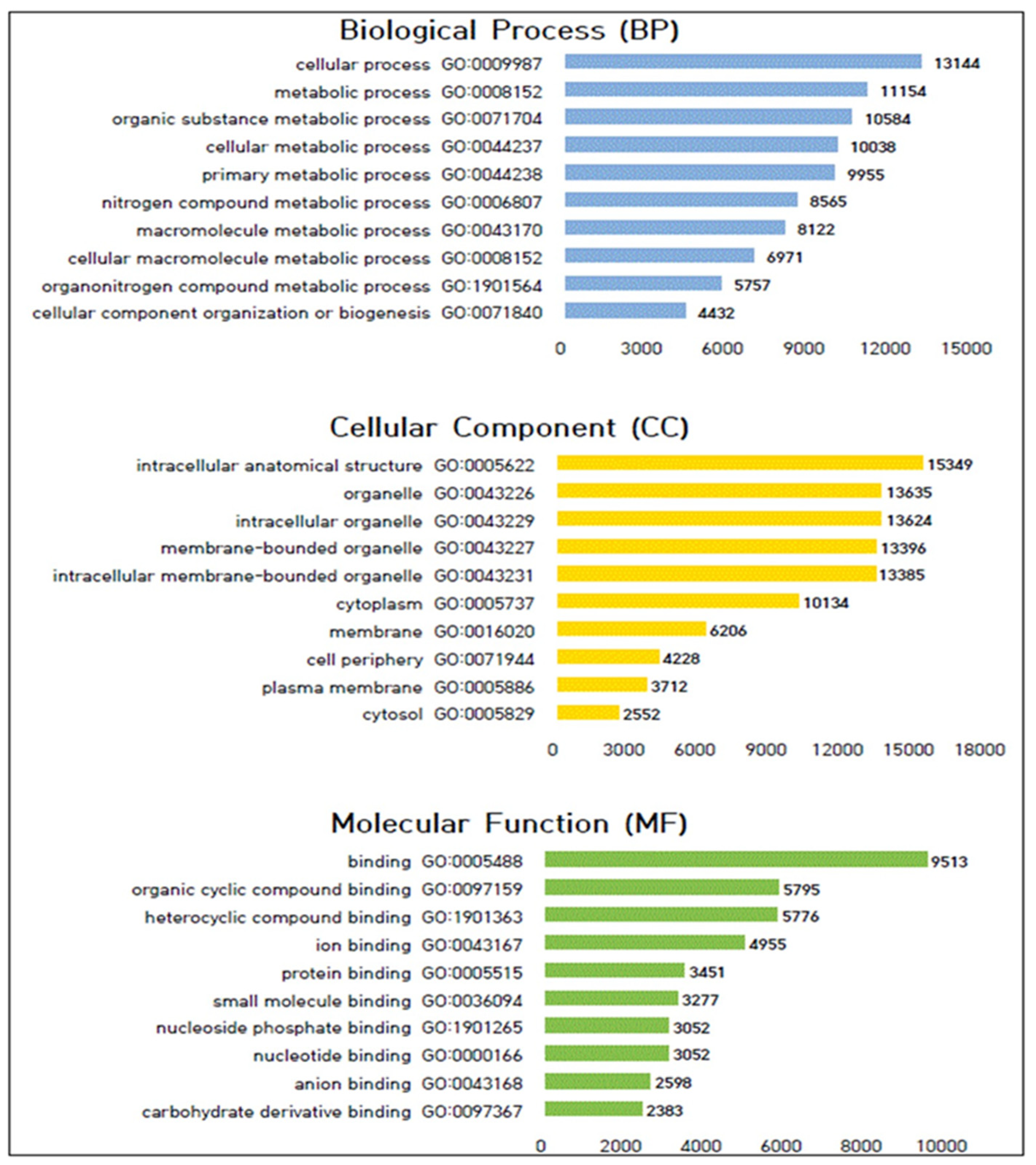 Plants 13 01576 g003