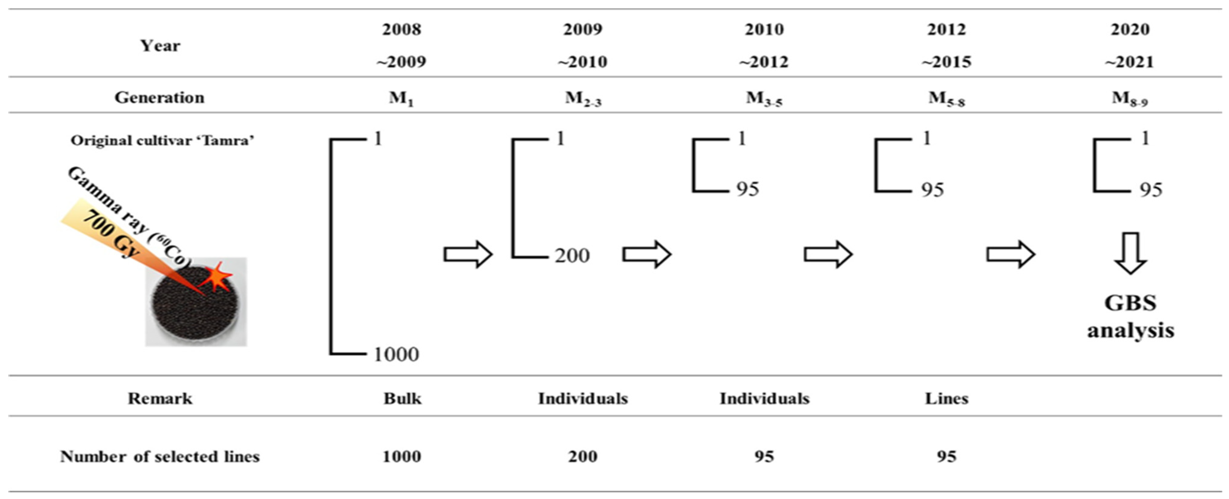 Plants 13 01576 g006