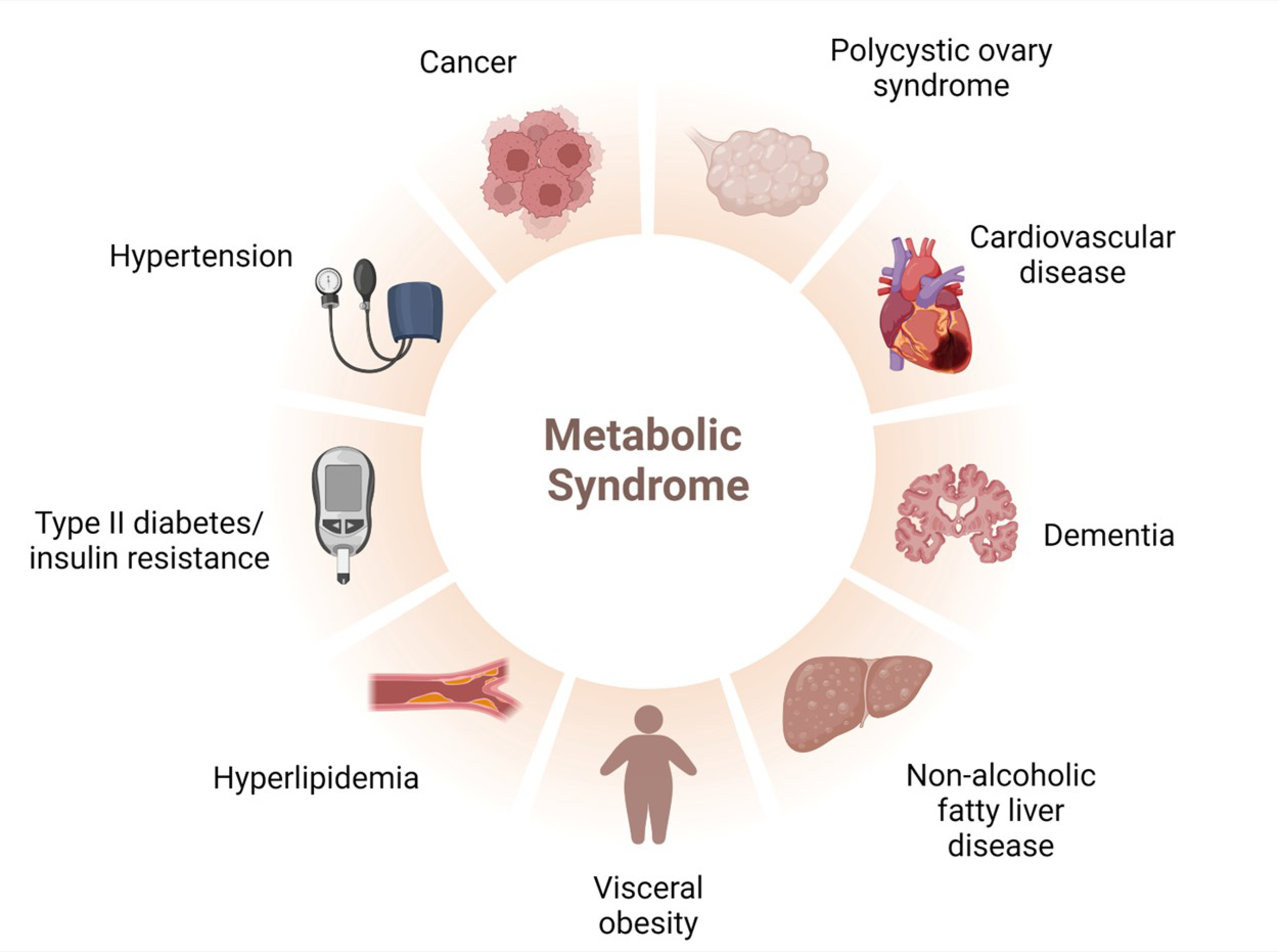 Plants 13 01584 g002