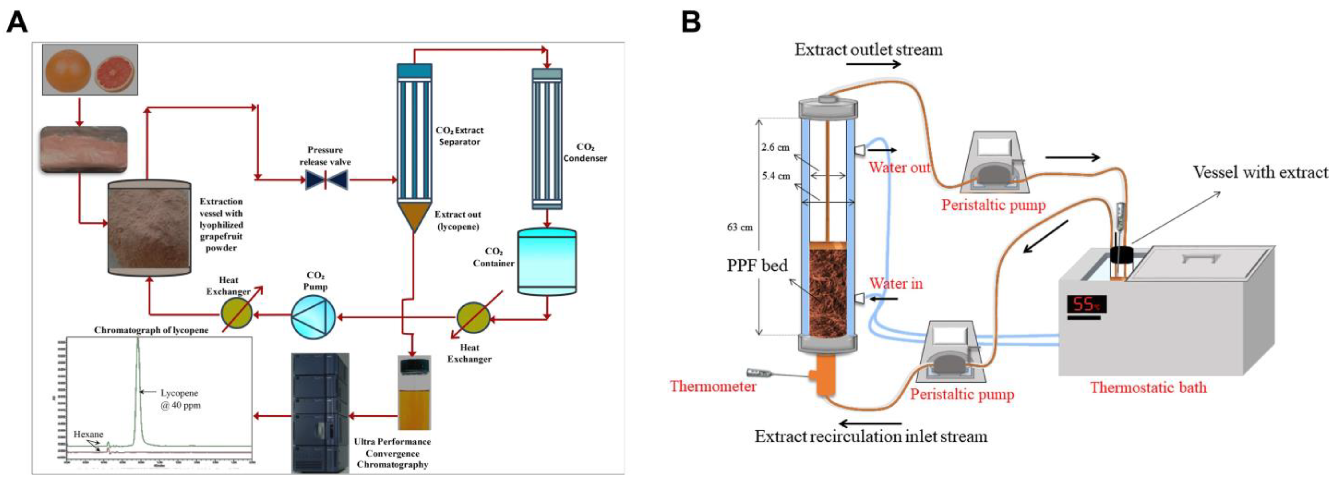 Plants 13 01584 g003